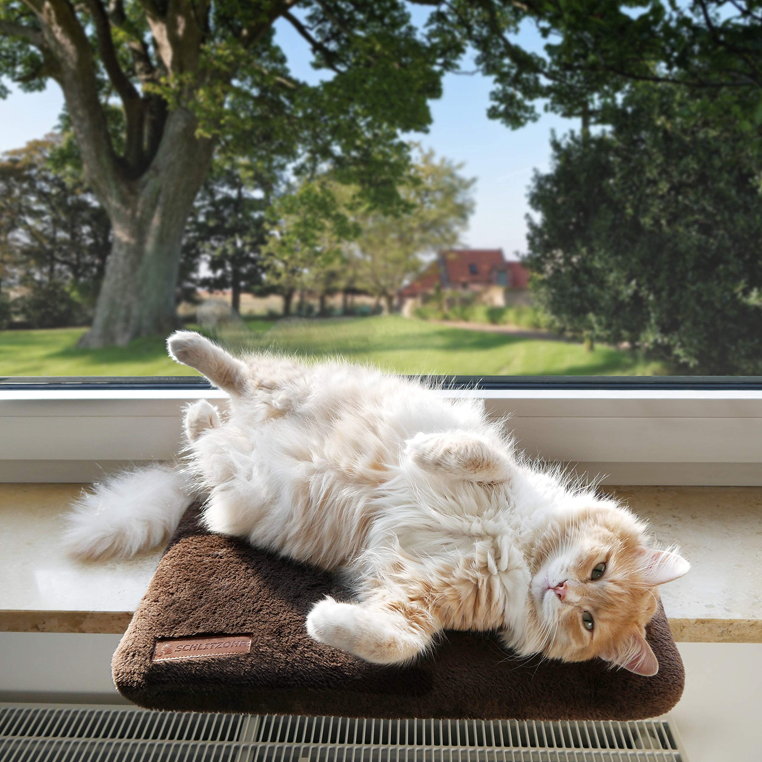 Fensterliegeplatz Teddy | stabile Katzenliege für Fensterbank | Fensterbankliege für Katzen | 51 × 36 cm (Beige)