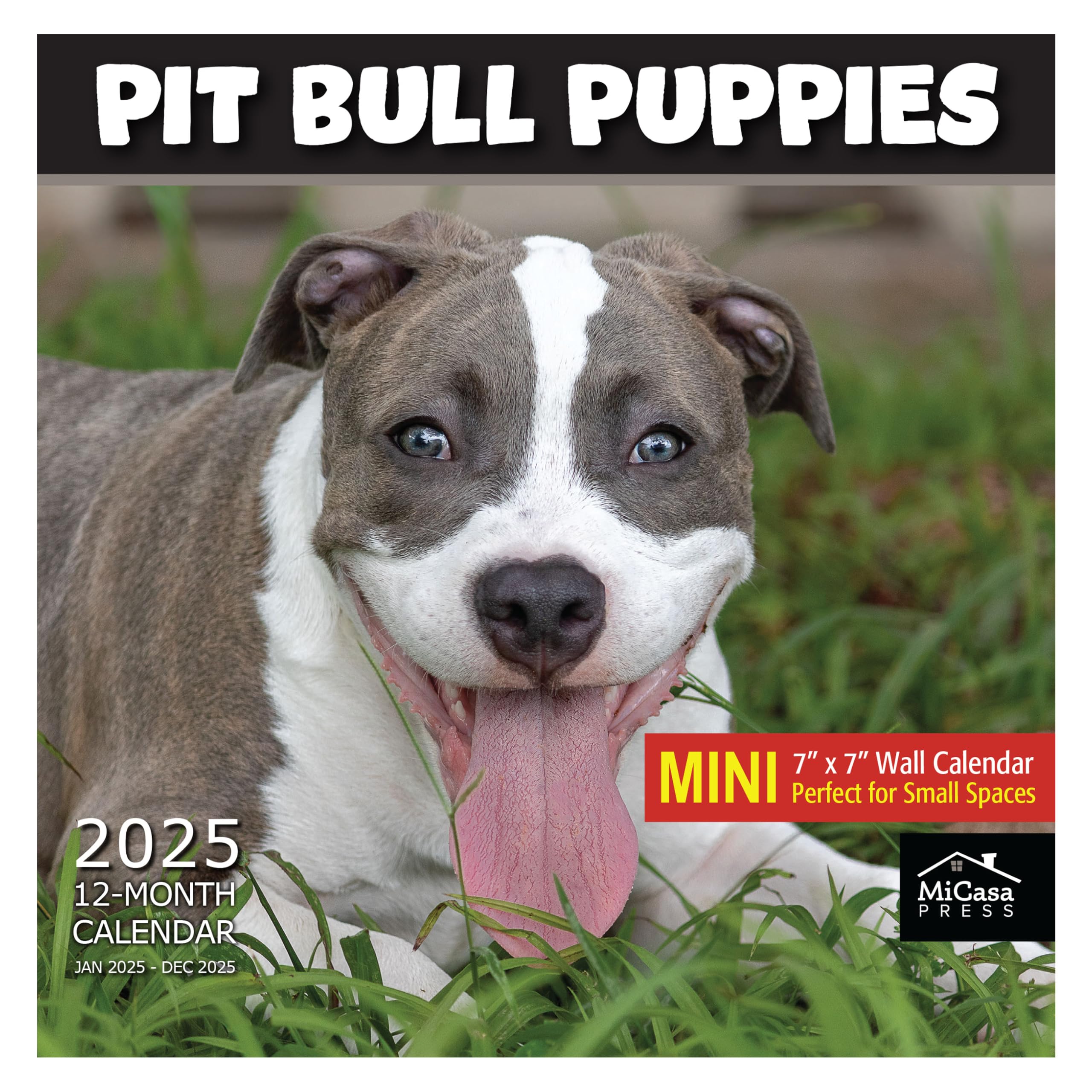 MICASA PRESS - Pit Bull Puppies Mini 2025 Wall Calendar 12 Month | 7" x 14" Open | Thick &amp; Sturdy Paper | Giftable | Calendar 2025