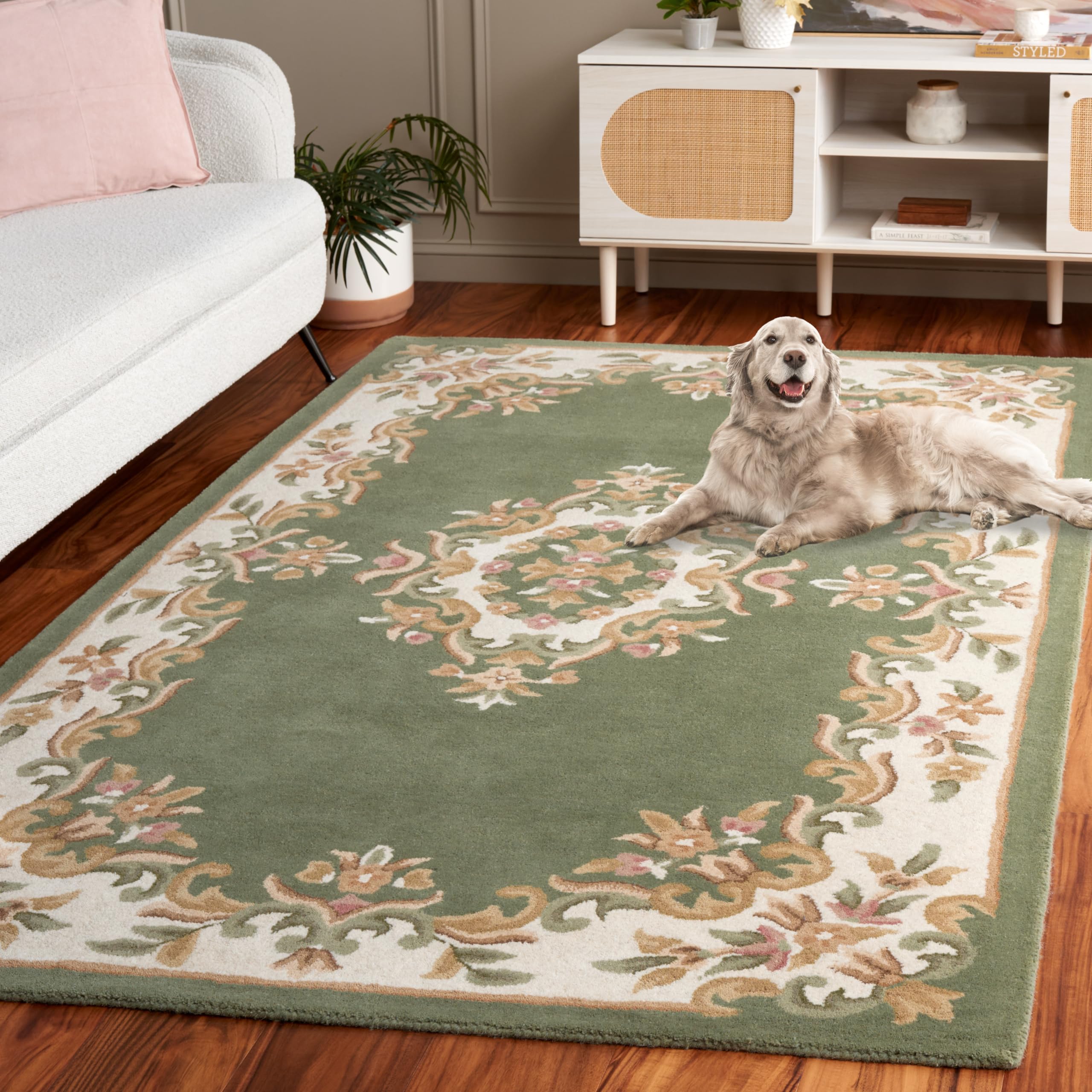 Amazon.com: SAFAVIEH Aubusson Collection Area Rug - 5' x 8', Green