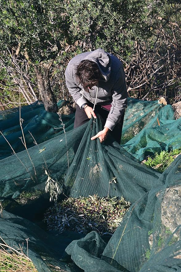 théa Aceite de Oliva Extra Virgen 750 ml Botella miniatura 6