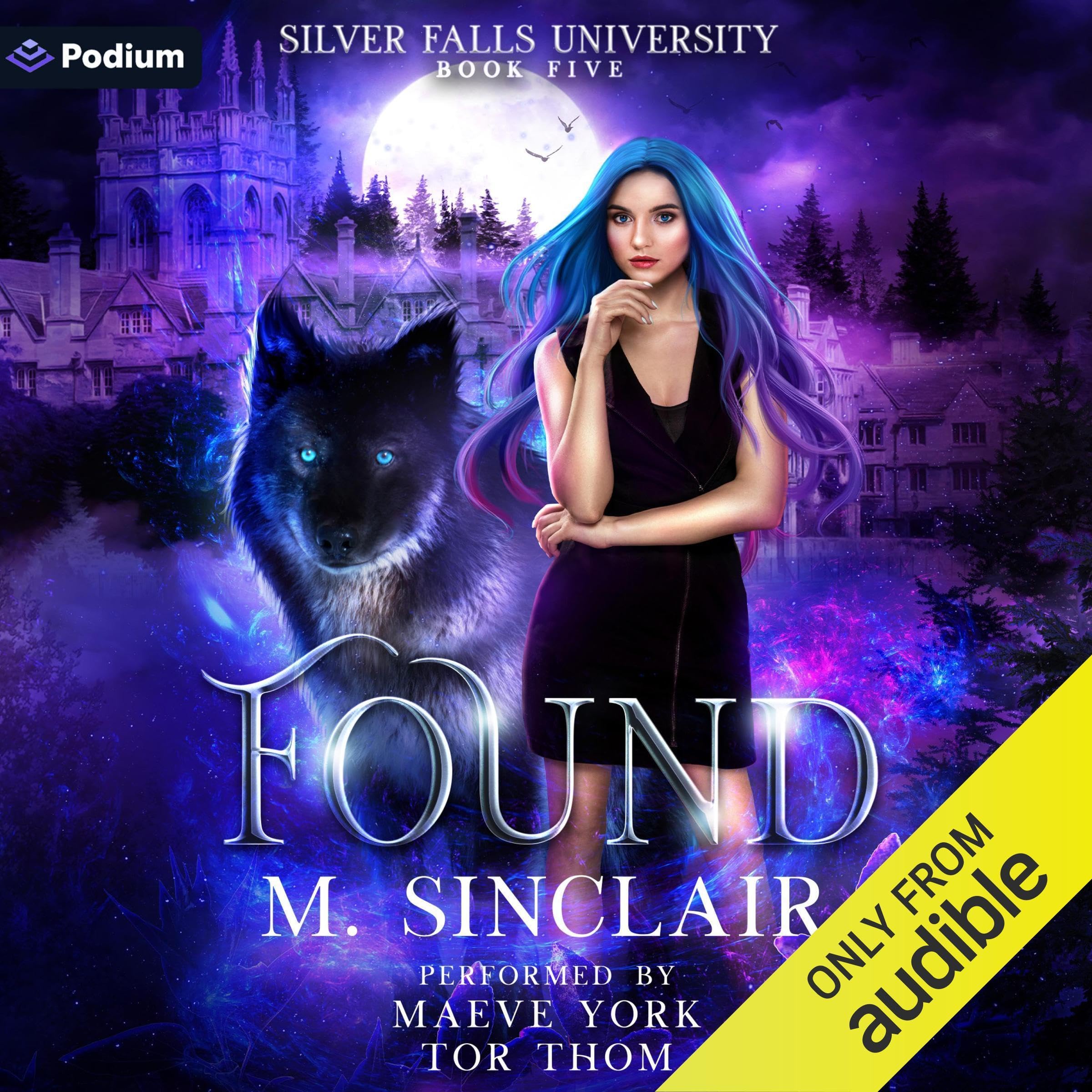 Cover art for Found: Silver Falls University, Book 5