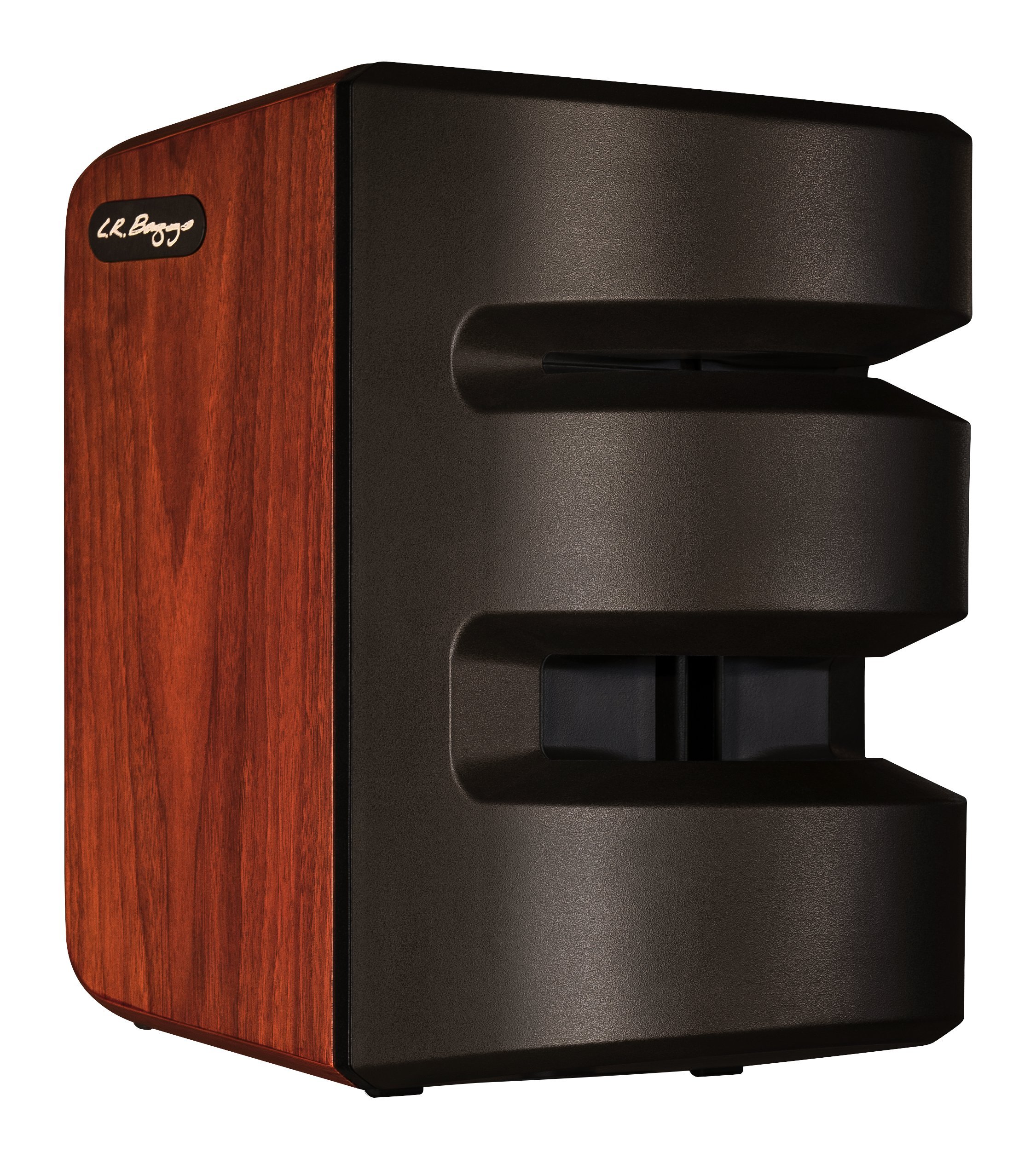 Amazon | L.R.Baggs SYNAPSE パーソナルPAシステム PERSONAL PA SYSTEM