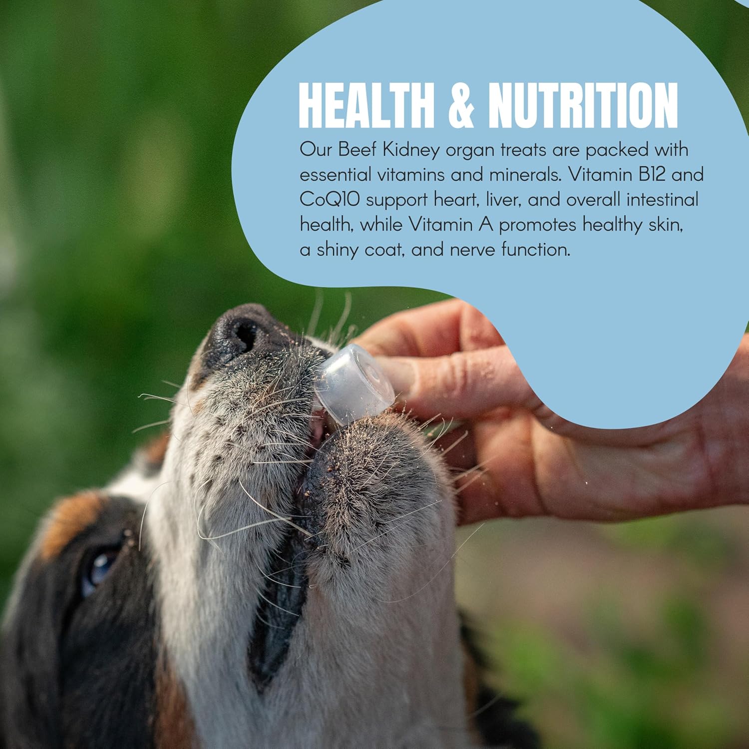 100% Grass-Fed Beef Organ Blend for Dogs 60-Day Supply | Sourced from Family-Owned Ranch in Utah | Best Dog Organ Supplement | Beef Kidney Great for Training & Treats | for All Breeds