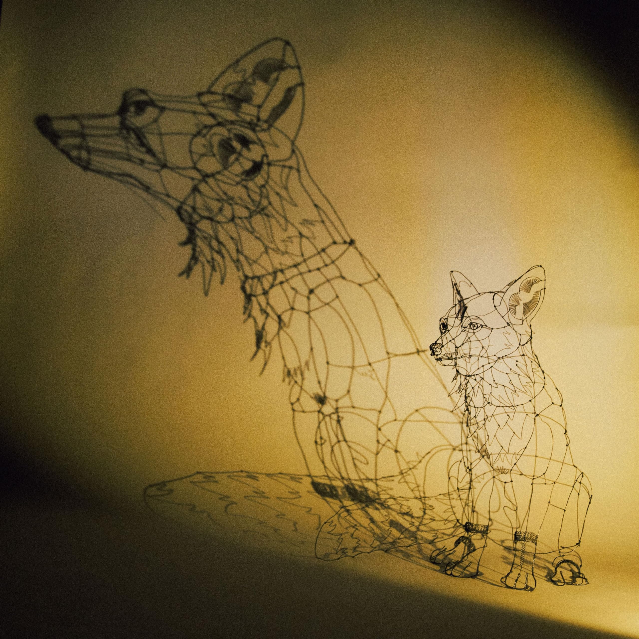 Amazon.co.jp: 一生モノの陽射し: ミュージック