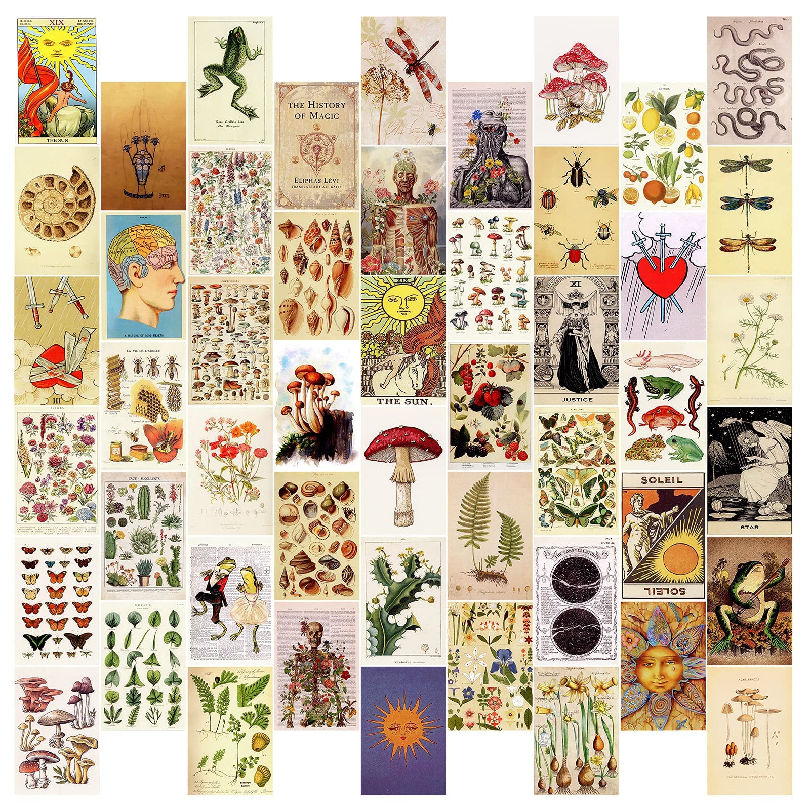 buy-hasthip-50pcs-s-vintage-wall-collage-kit-aesthetic-pictures