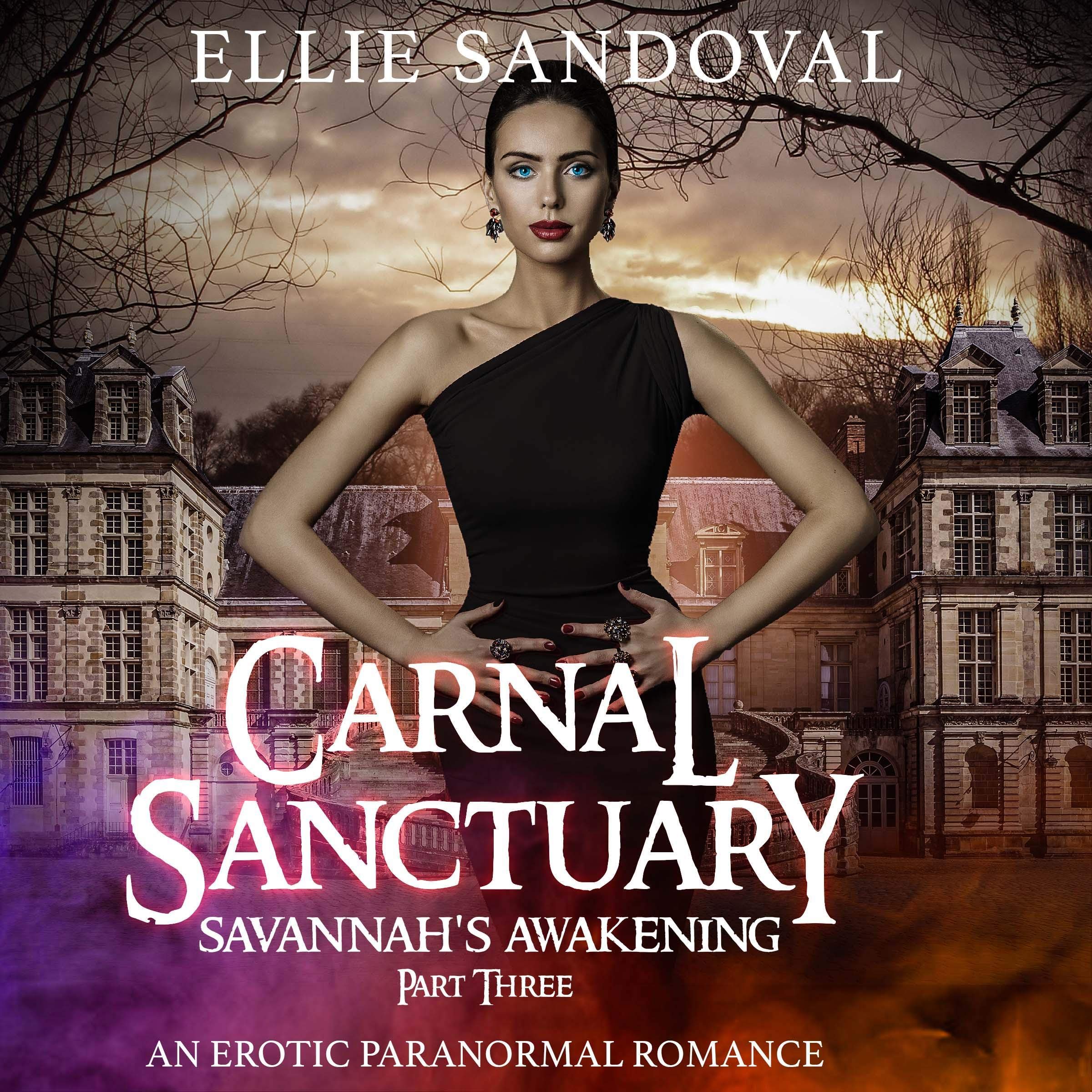 Cover art for Carnal Sanctuary: Savannah's Awakening Part III