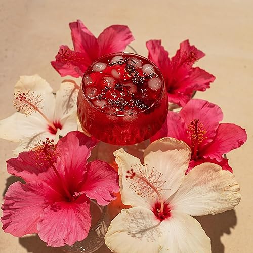 Miniatura 4 de Té de hojas sueltas de flores de hibisco  100% orgánico certificado  Tisana de hierbas  Té de hojas sueltas calientes sin cafeína  Bolsa de 1 libra
