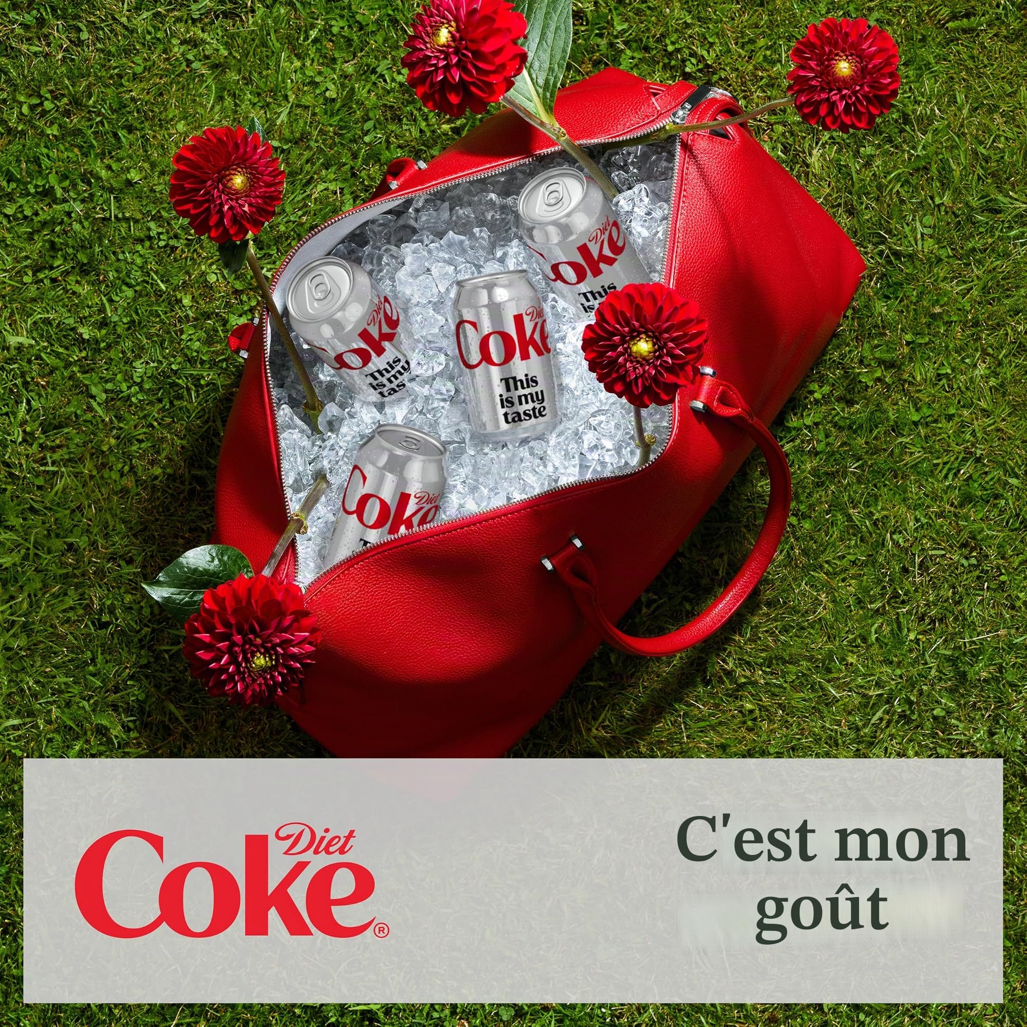 Coca-Cola Régime de Boissons gazeuses 330ml Can (Pack of 24)