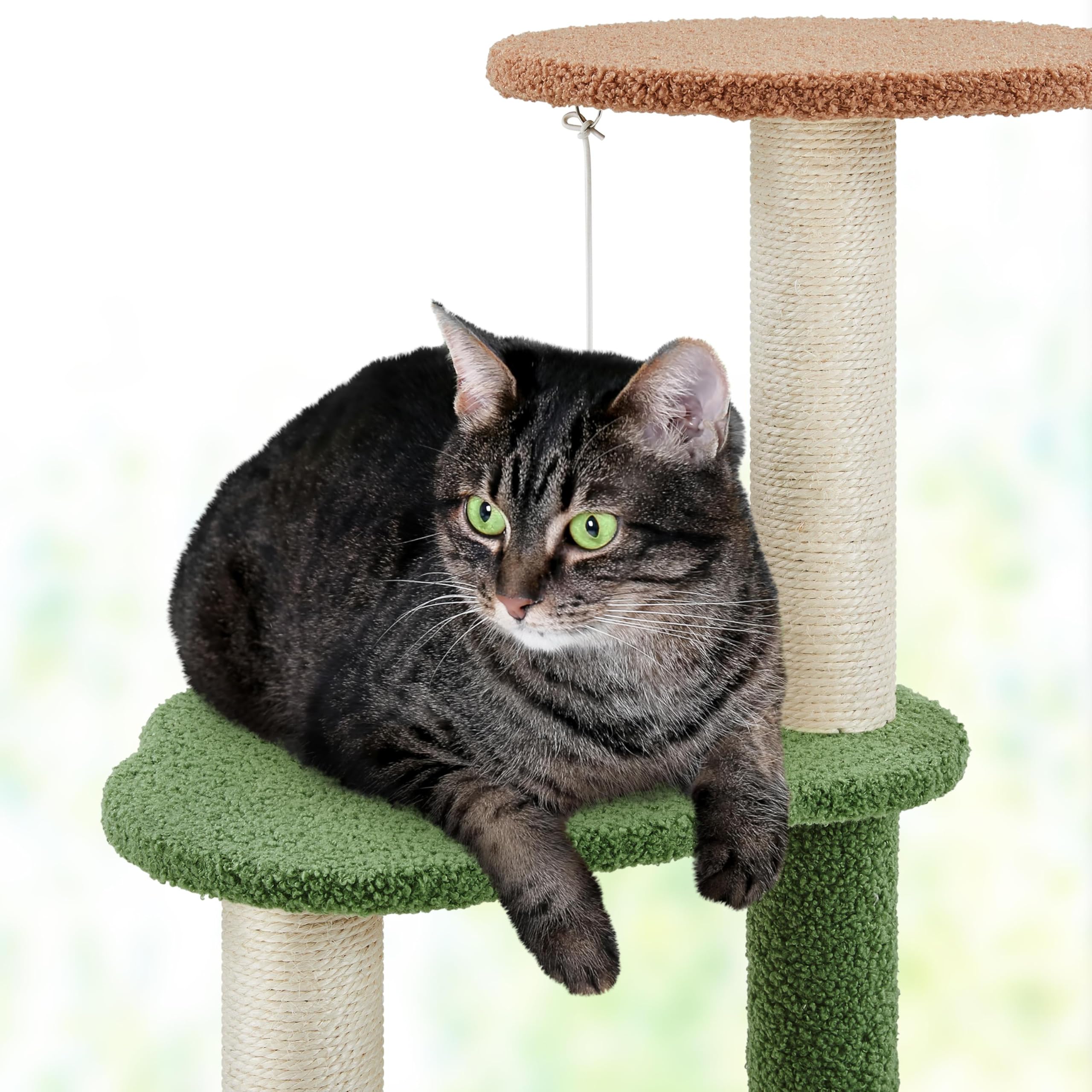 Cat Trees Aazon.co : Yaheetech Cactus Cat Tree, 42in Cat