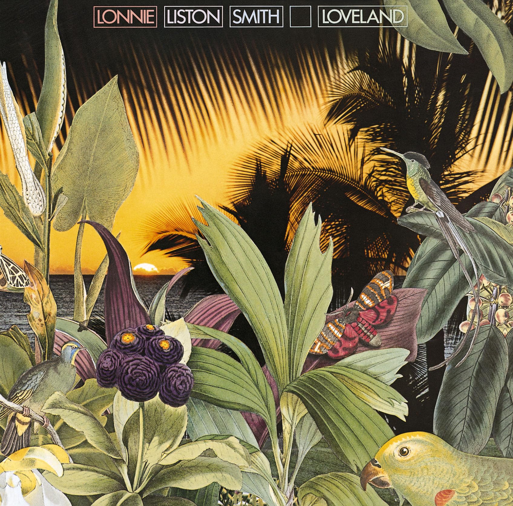 レコード Lonnie Liston Smith Loveland レアグルーヴ Lonnie Liston Smith Lovelandメロウブギー傑作US盤 - メルカリ