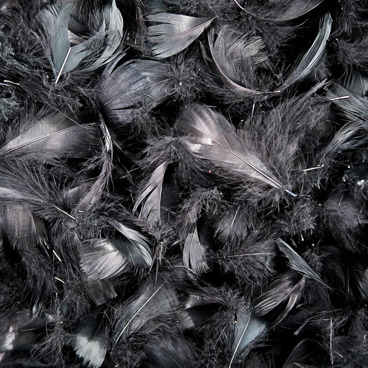 Plumas y Boas
