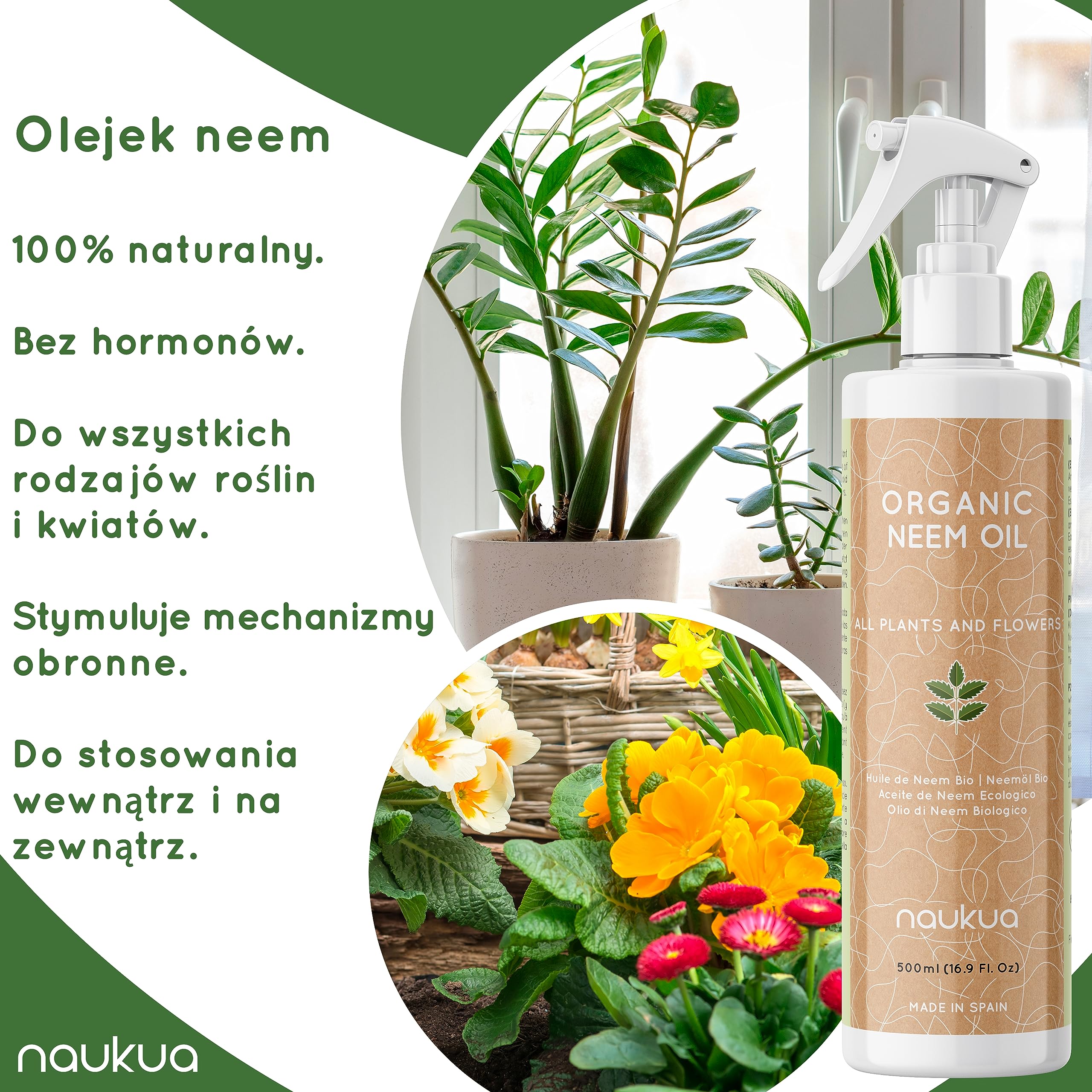 500ml Organiczny Olejek z Miodli Indyjskiej Do Roślin - 100% Naturalny i Nietoksyczny - Ochrona i Obrona Przed Wszystkimi Rodzajami Szkodników, Owadów i Chorób - Rośliny Wewnątrz i Na Zewnątrz - Gotowy Do Użycia Spray.