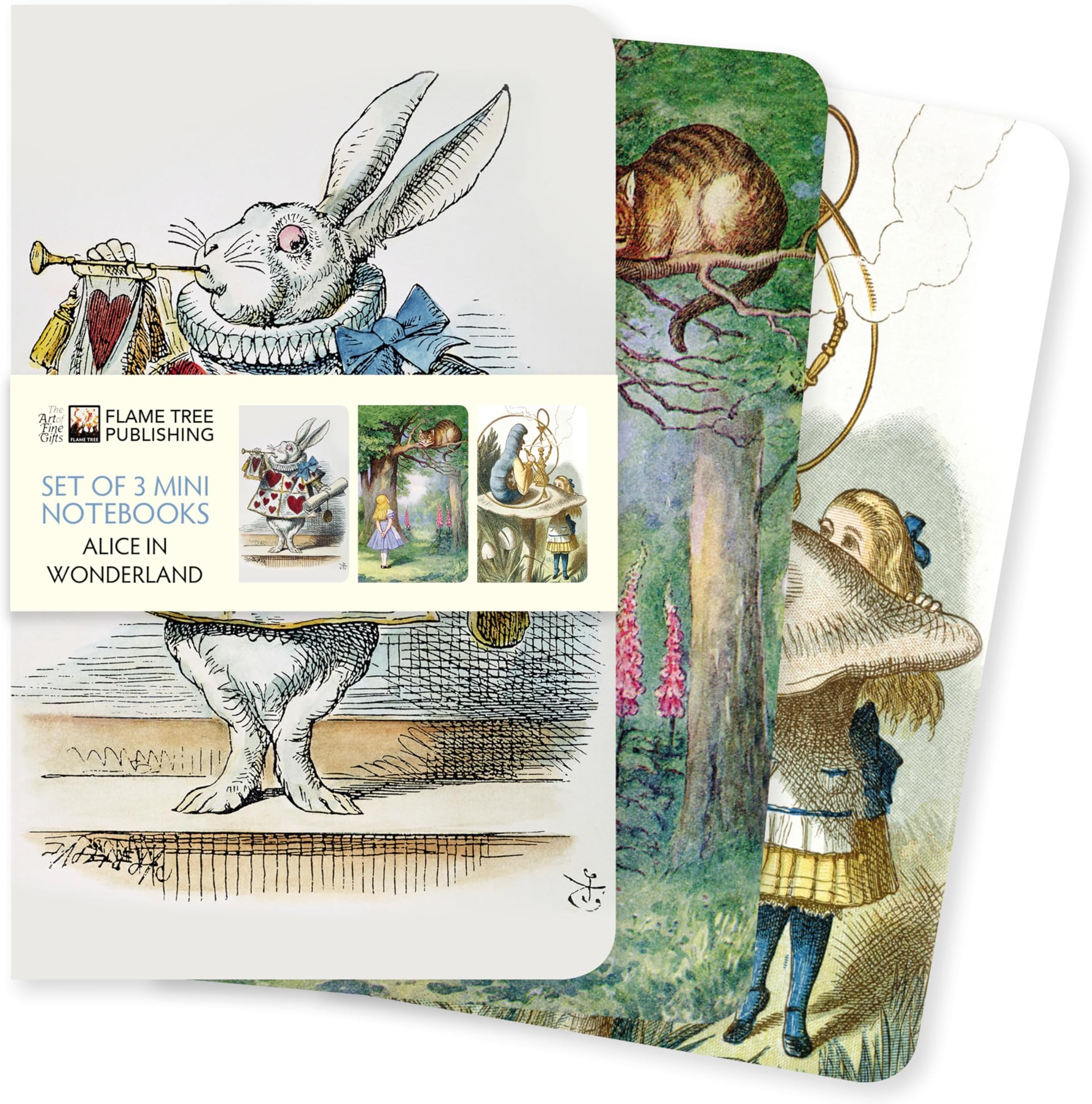 Alice's Adventures in Wonderland Set of 3 Mini Notebooks (Mini Notebook Collections)