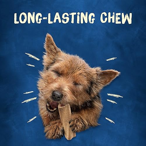 Miniatura 4 de Purina Busy Bone Dog Chew - Bocadillos para perros