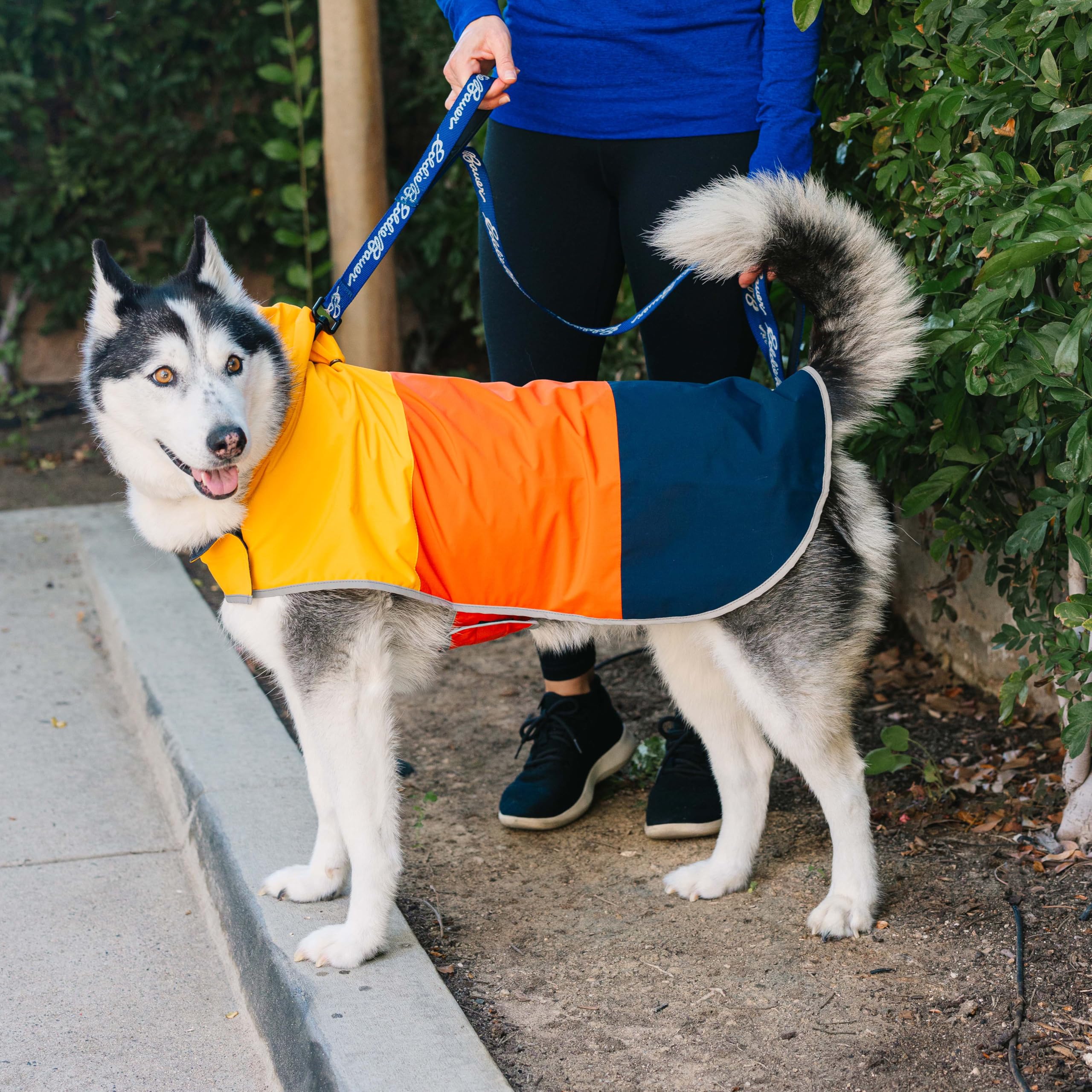 Eddie Bauer E23210XS Ravenna Colorblocked Dog Windbreaker Jacket