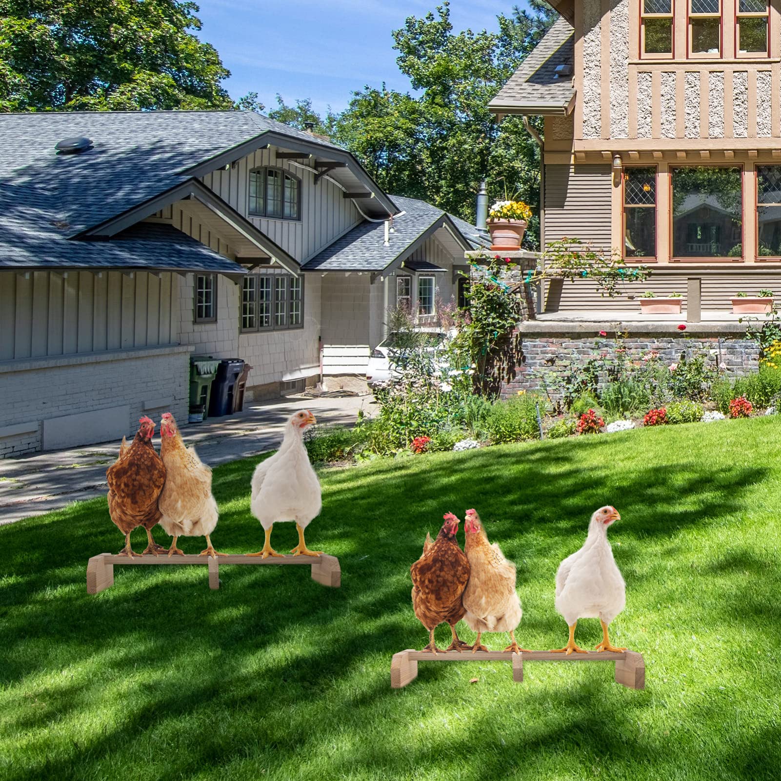 COLLBATH Holz Hühnerständer Vogelstand mit Rutschfunktion zum Ausruhen und Spielen Tierbedarf für Hühner Tauben Vögel