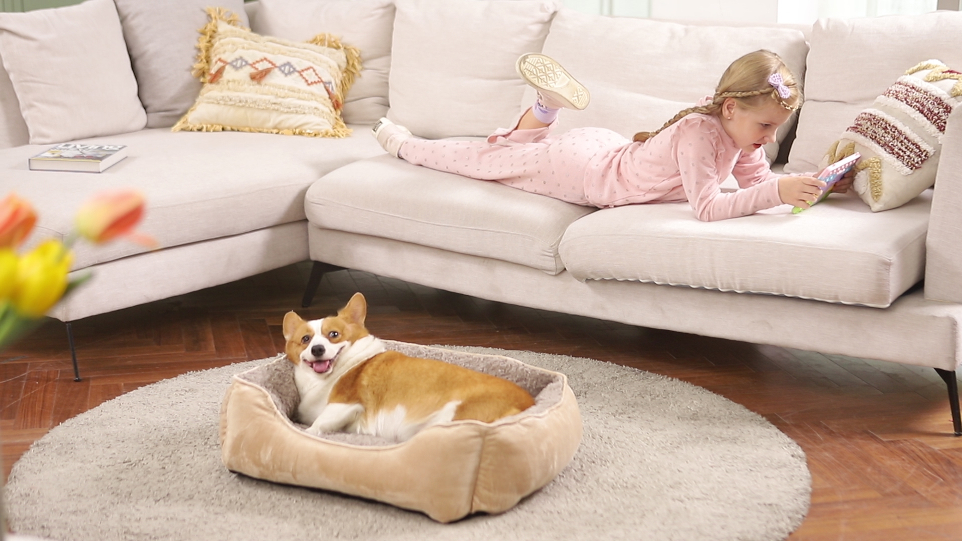 JOEJOY Rectangle Dog Bed for Large Medium Small Dogs Machine Washable Sleeping Dog Sofa Bed Non-Slip Bottom Breathable… - Image 8