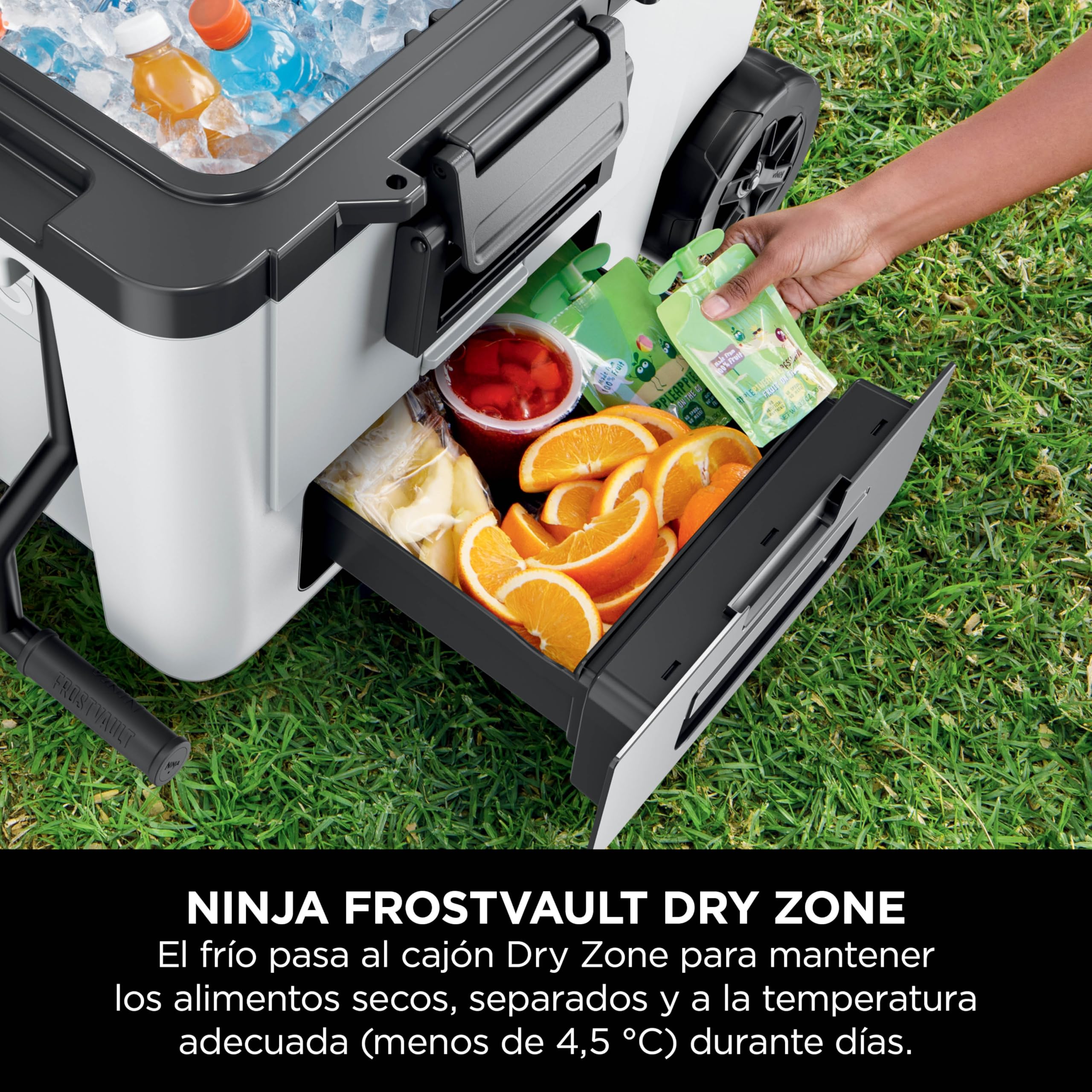 Ninja FrostVault, Nevera Portátil Rígida, Blanco Nube, FB245EUWH | Con Ruedas y Cajón Dry Zone Integrado a Temperatura de Frigorífico, Mantiene el Hielo durante Días, Capacidad para 68 Latas