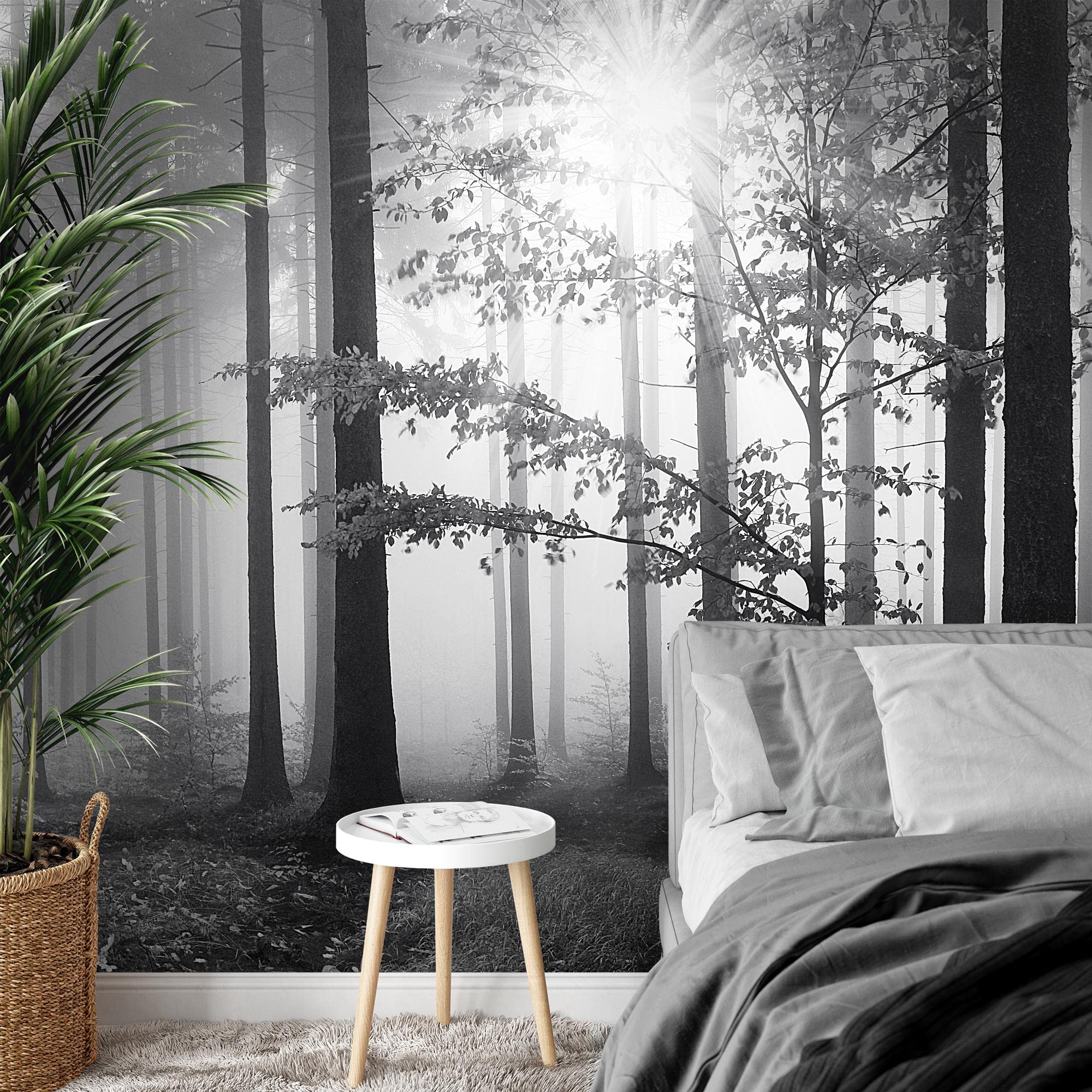 Runa Art Papier peint intissé Forêt dans le brouillard 352 x 250 cm Toison Mur XXL Tableaux Muraux Tapisserie Photo Décoration Murale Salon Chambre Noir Blanc 9241011a