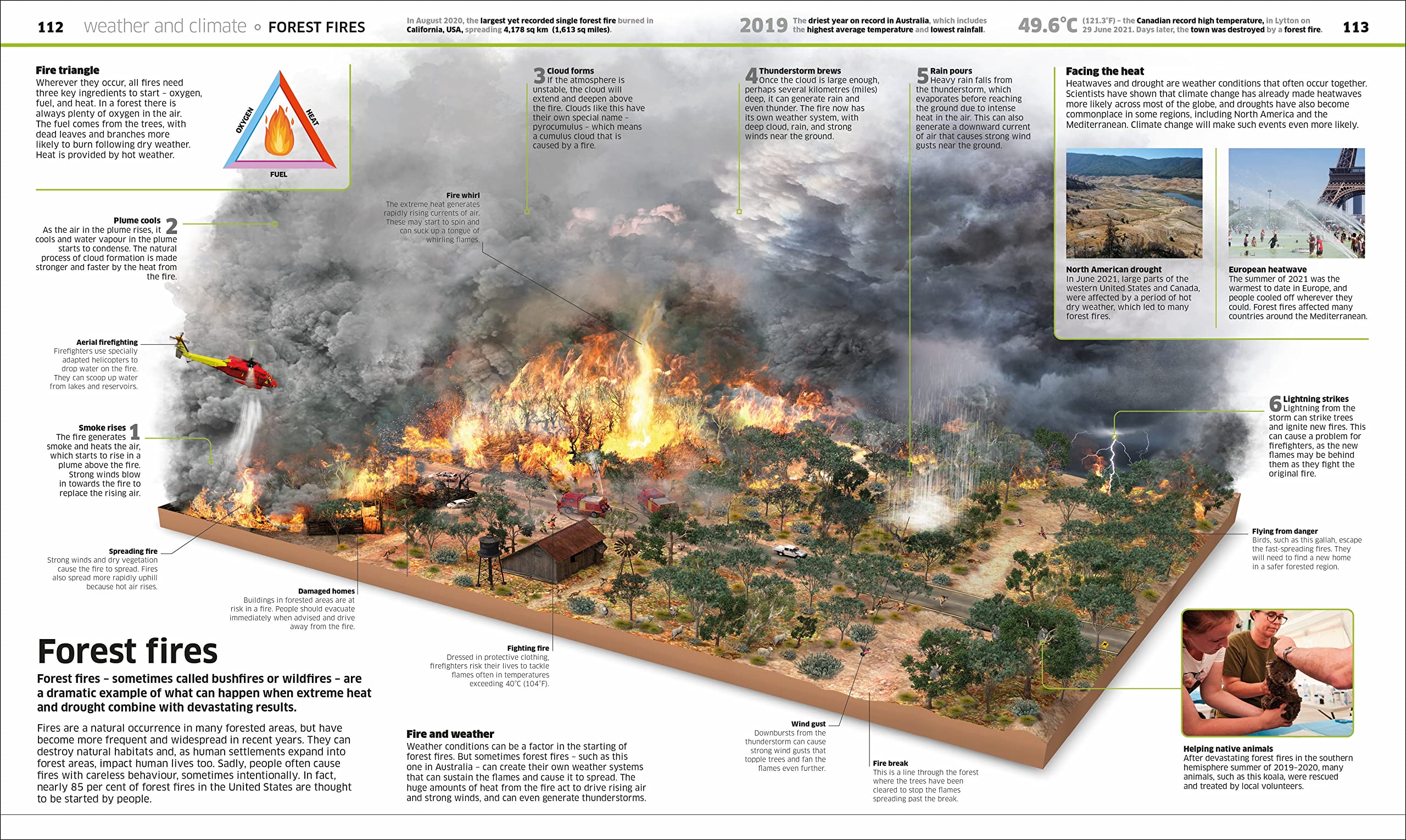 Knowledge Encyclopedia Earth!: Our Exciting World As You've Never Seen It Before