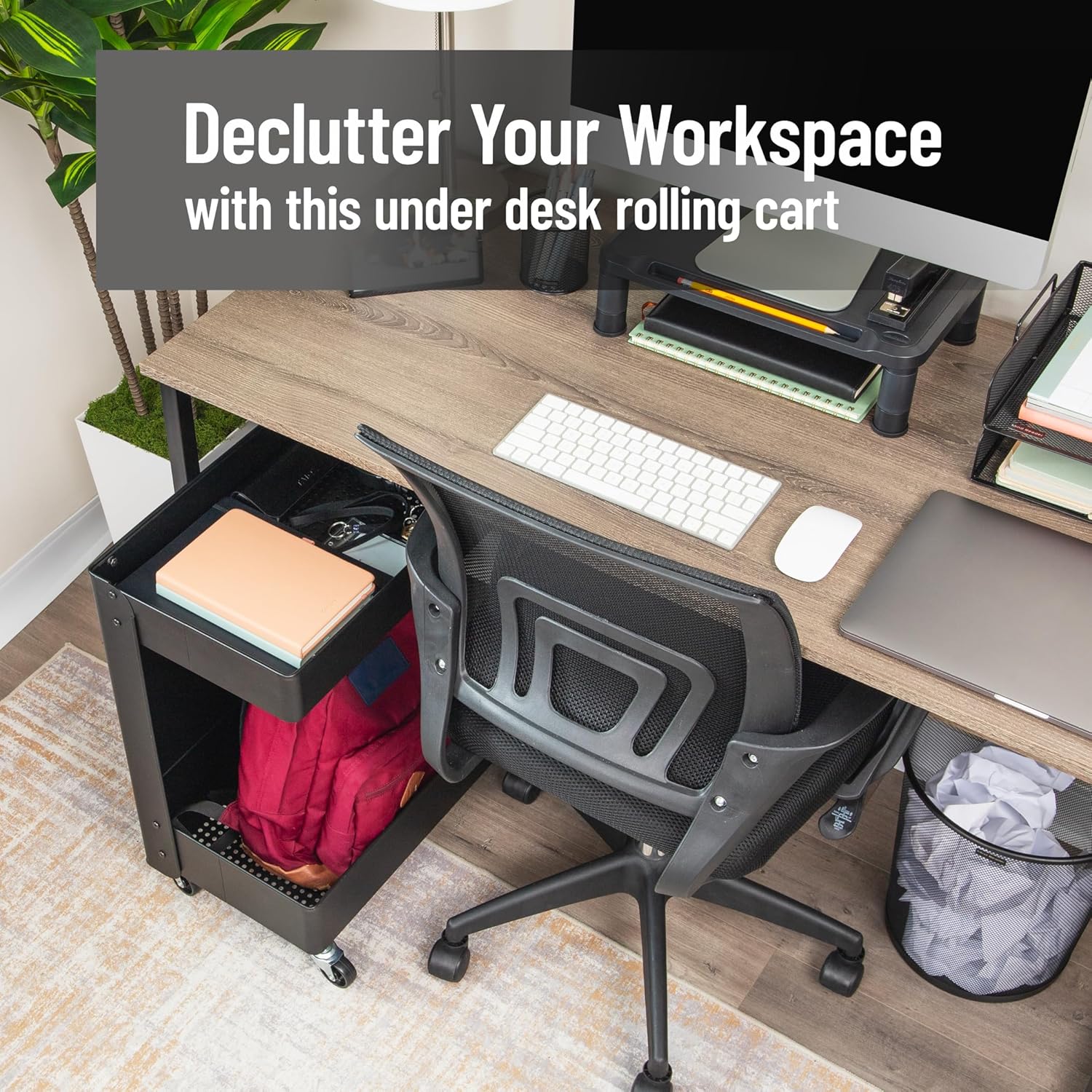 Mind Reader Under Desk Rolling Cart, 2-Tier Steel Utility Organizer, No Assembly Required, 12" L x 20" W x 23.5" H, Black
