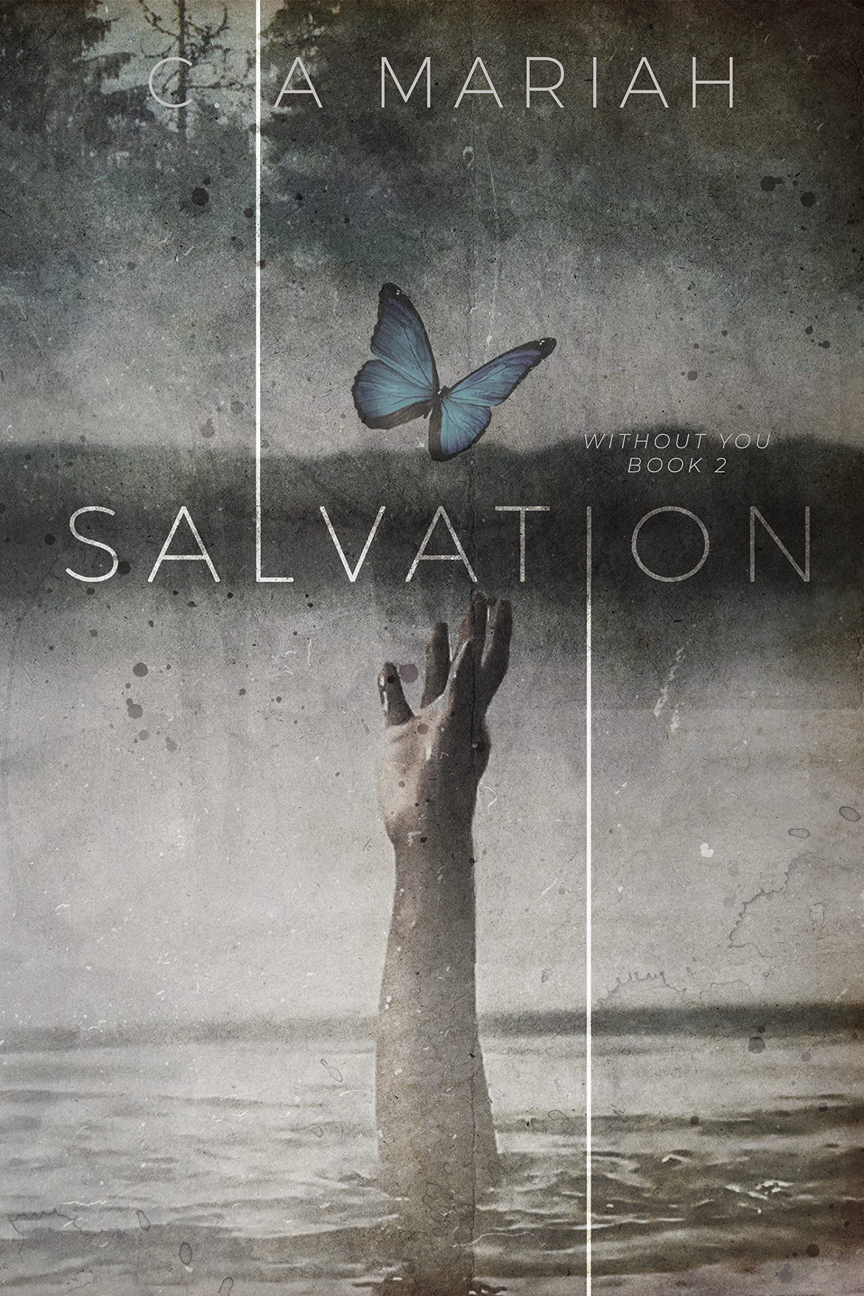 Salvation (Without You Book 2)