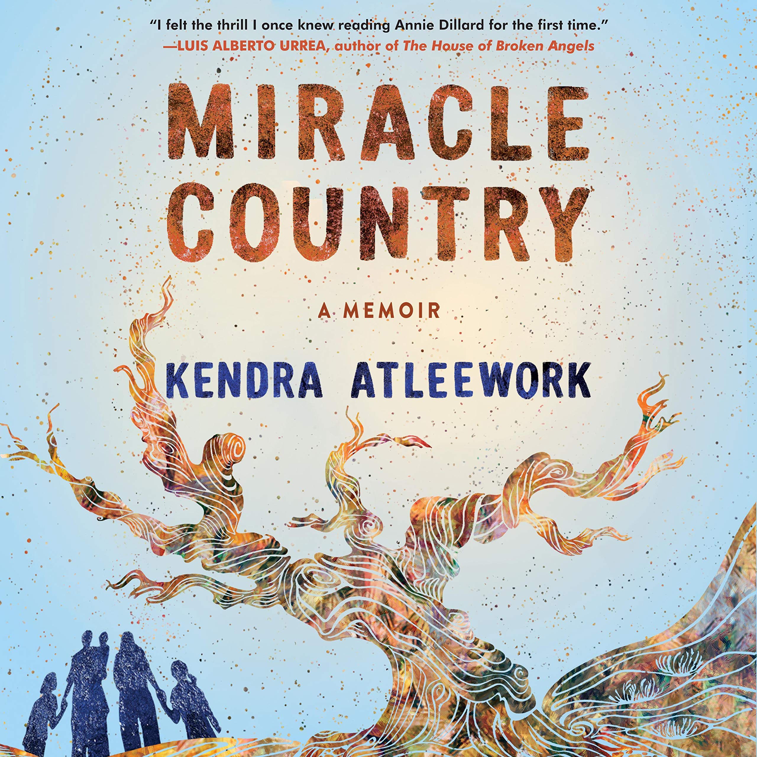 Cover art for Miracle Country