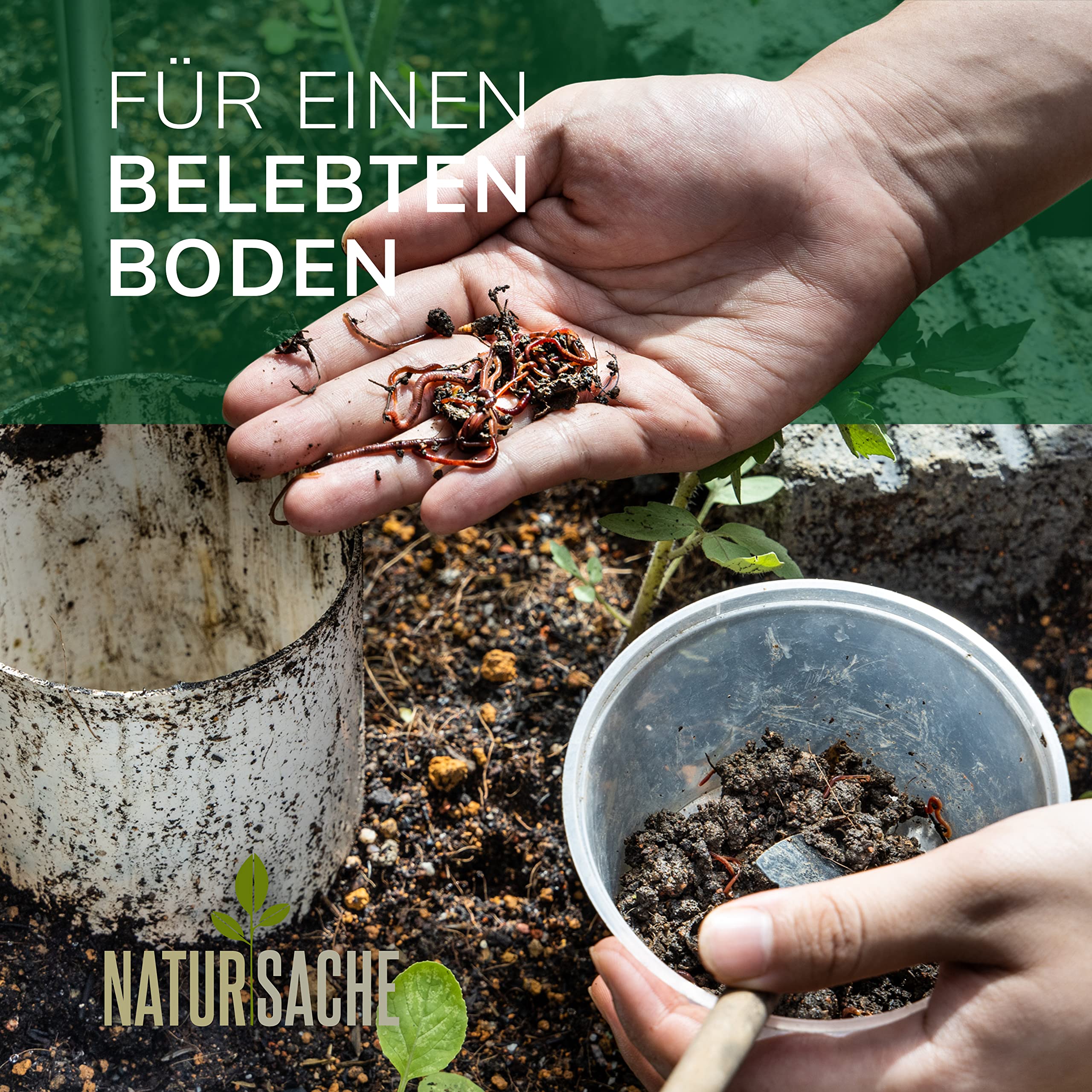 Natursache Terra Forming Paket „Jack“ I Natürlicher Bodenaktivator für Hochbeete und Pflanzkübel für 1-3 m² I Bodenverbesserer-Set mit Styroporbox, 150 STK. Regenwürmer & Einer Anleitung