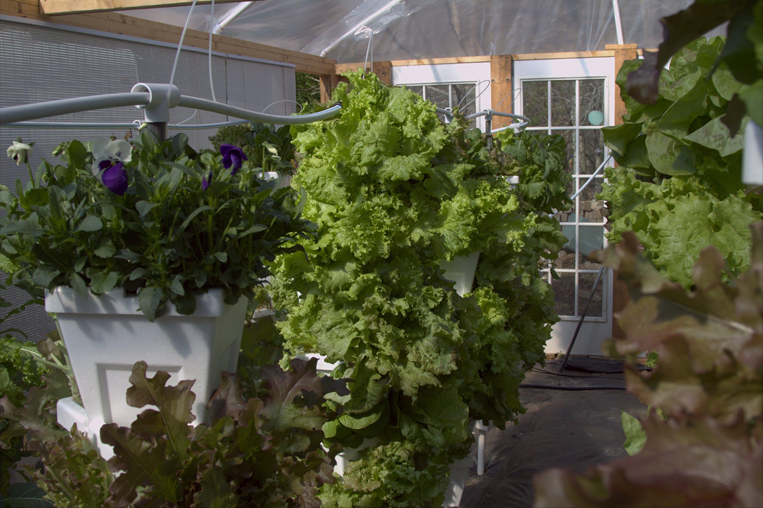 (20) Vertical Hydroponic Containers - DIY Garden Project