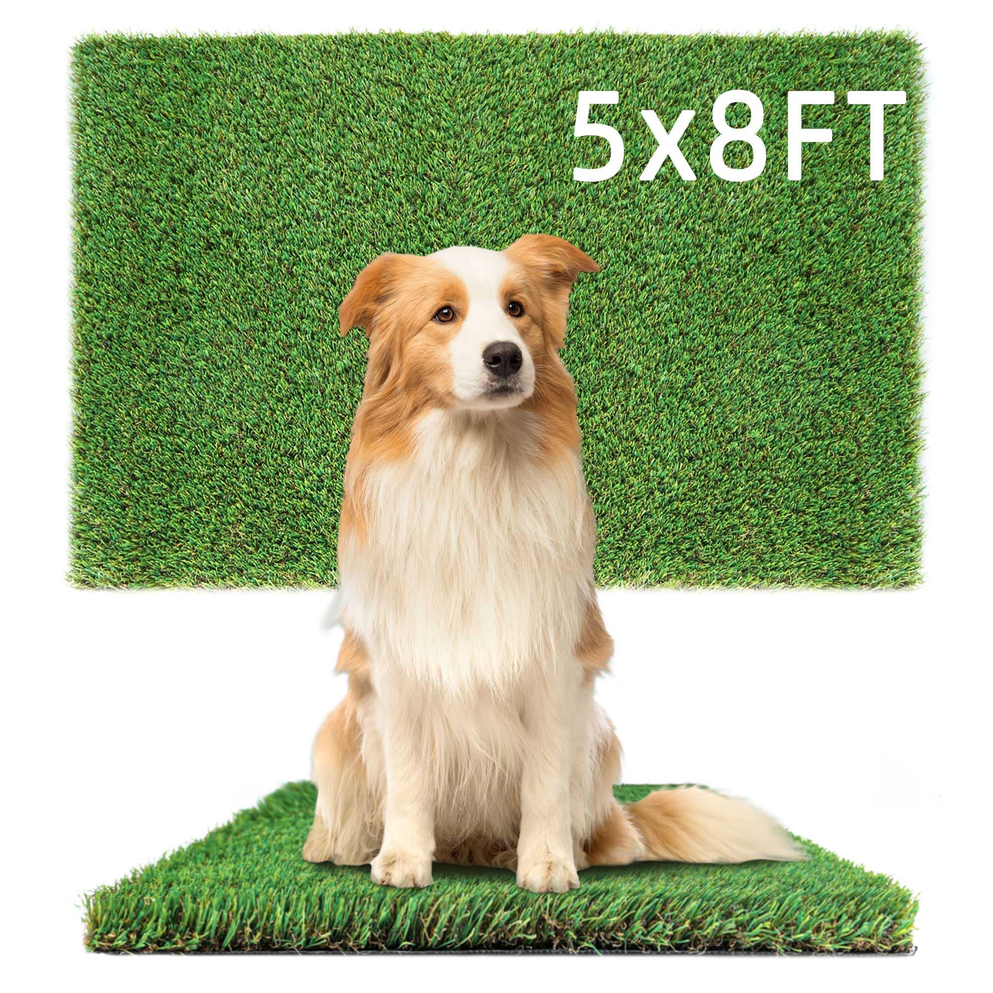 Outeriti Artificial Grass Turf for Dogs