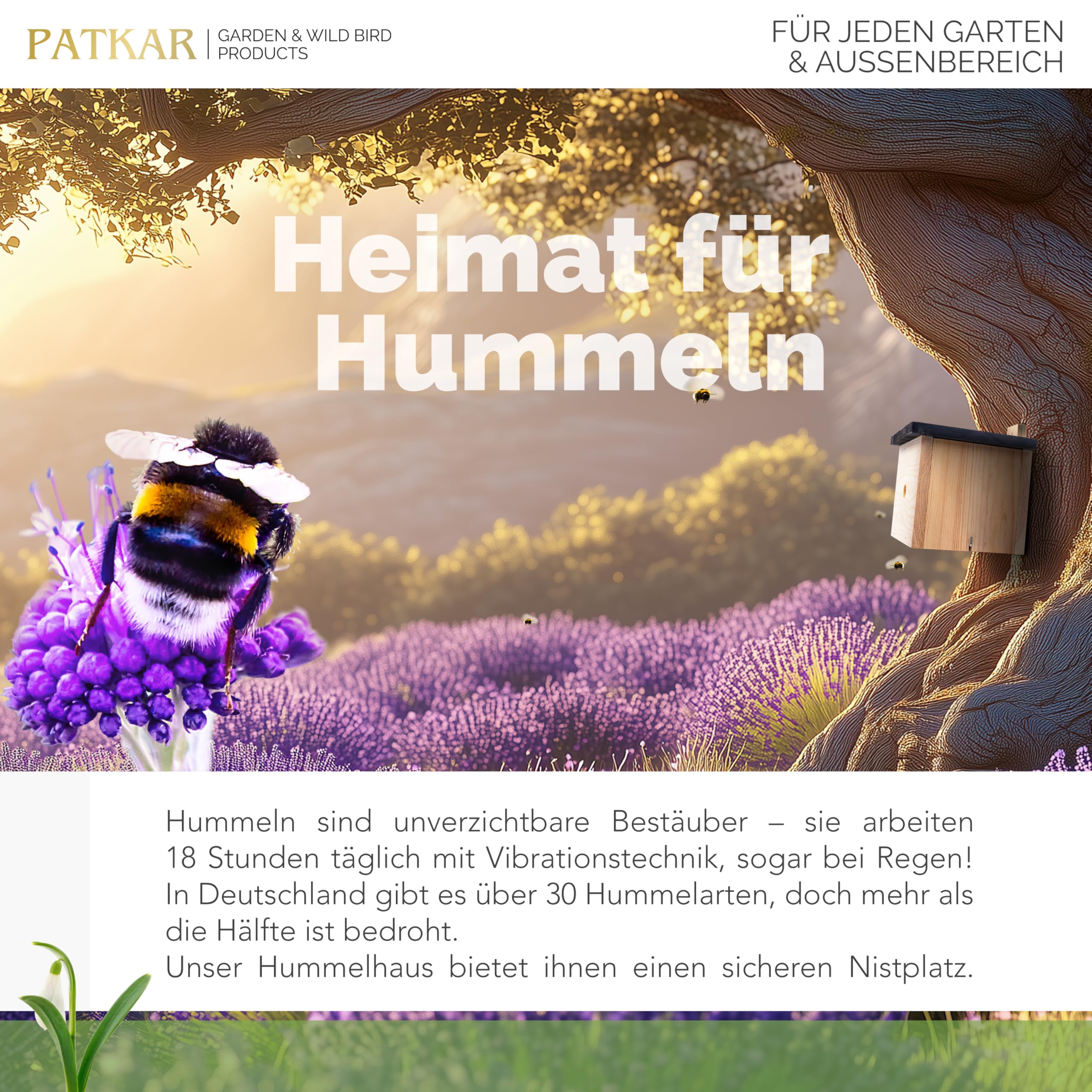 PATKAR® Hummelhaus Hummelkasten [EXTRA STABIL] - Insektenhotel Bienenhotel wetterfest & windfestes Kiefernholz (Made in Europe) - Wildbienenhotel Bienenhaus für den Garten - Gebrauchsfertig montiert