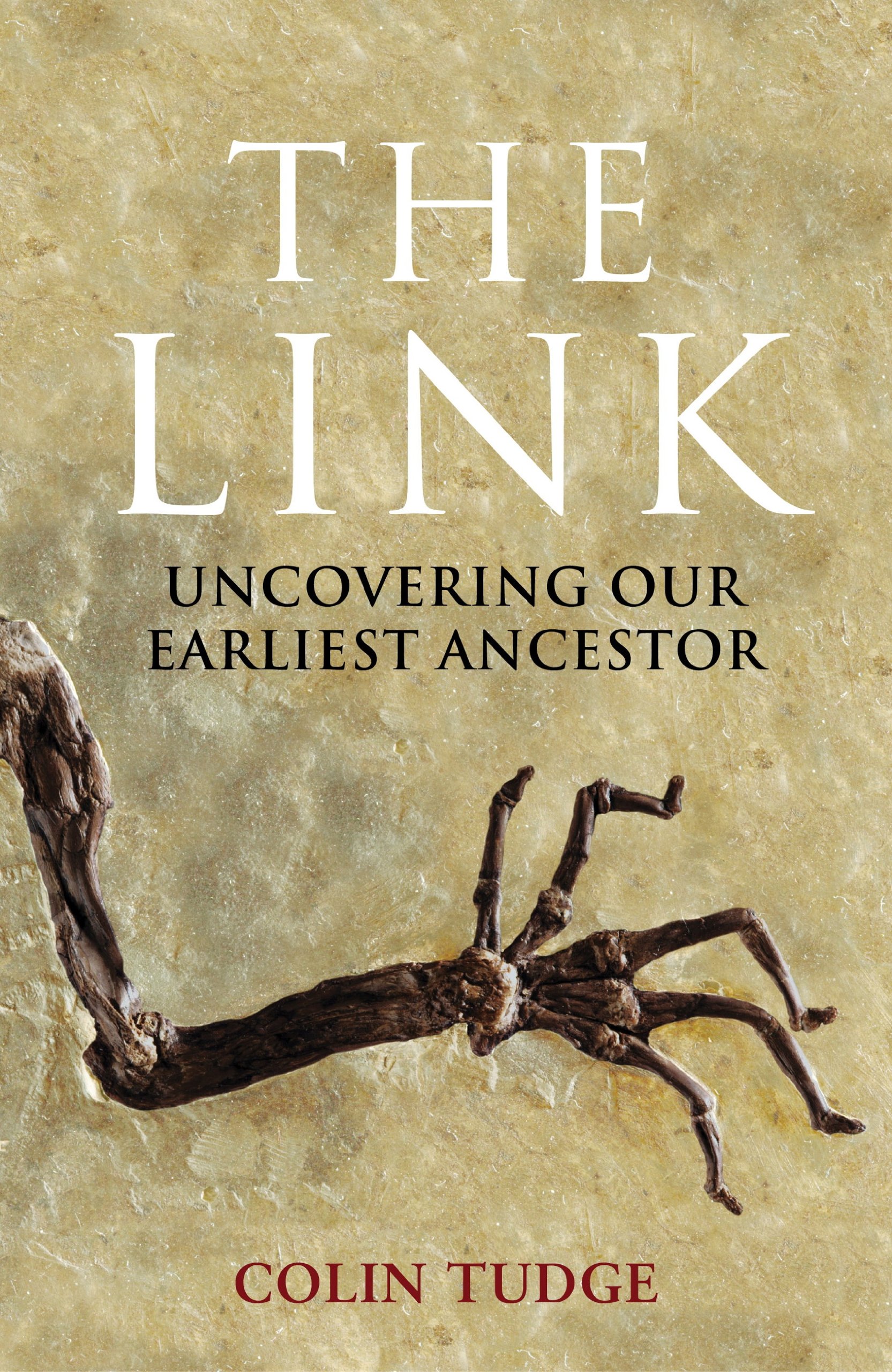 The Link: Uncovering Our Earliest Ancestor