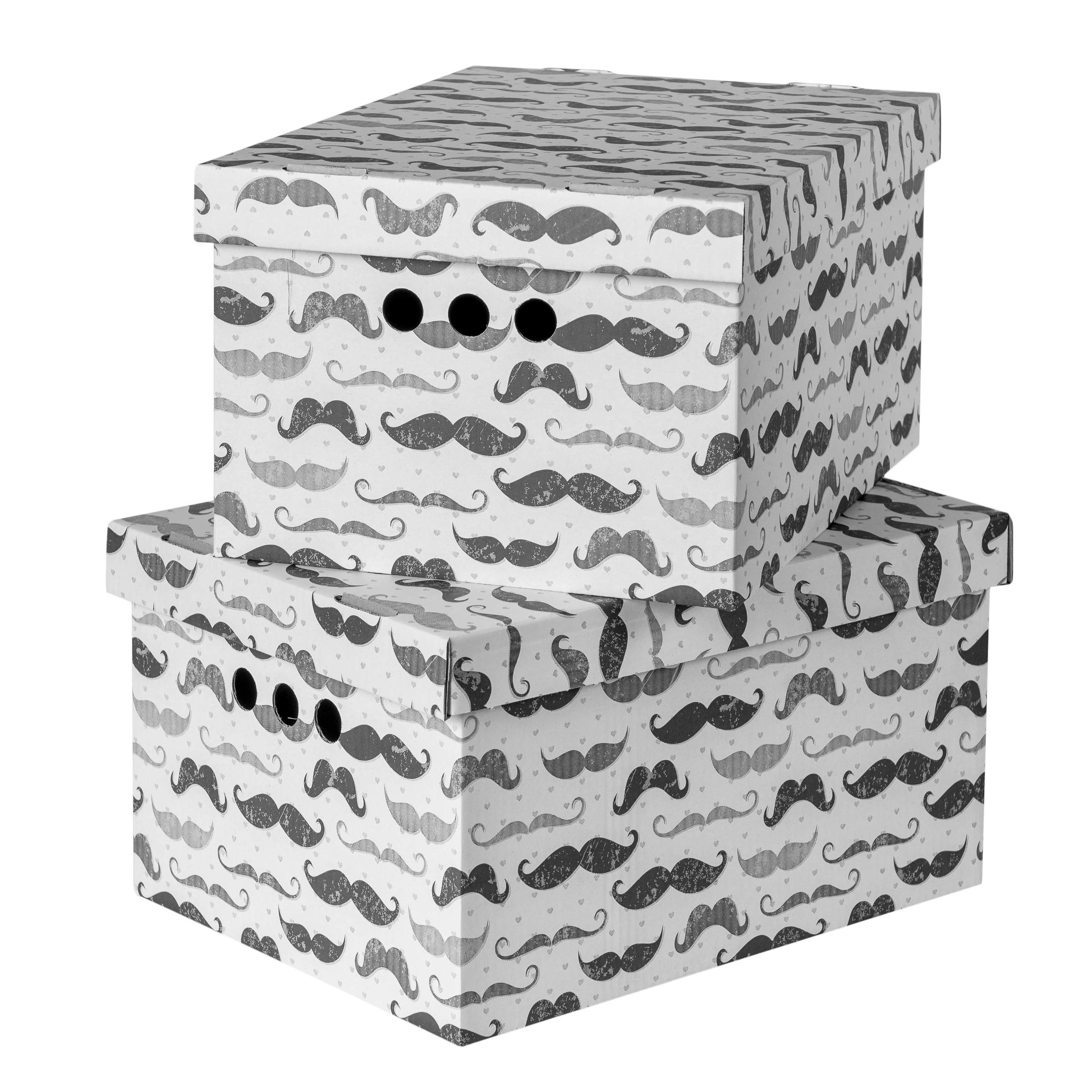 Softillo Tash Pack Of 2 Decorative Storage Boxes With Lids Home Office Bedroom Wardrobe Box Organiser Archive Box With Lid Multi-Use General Storage Archive Box With Lid Stylish Set Large