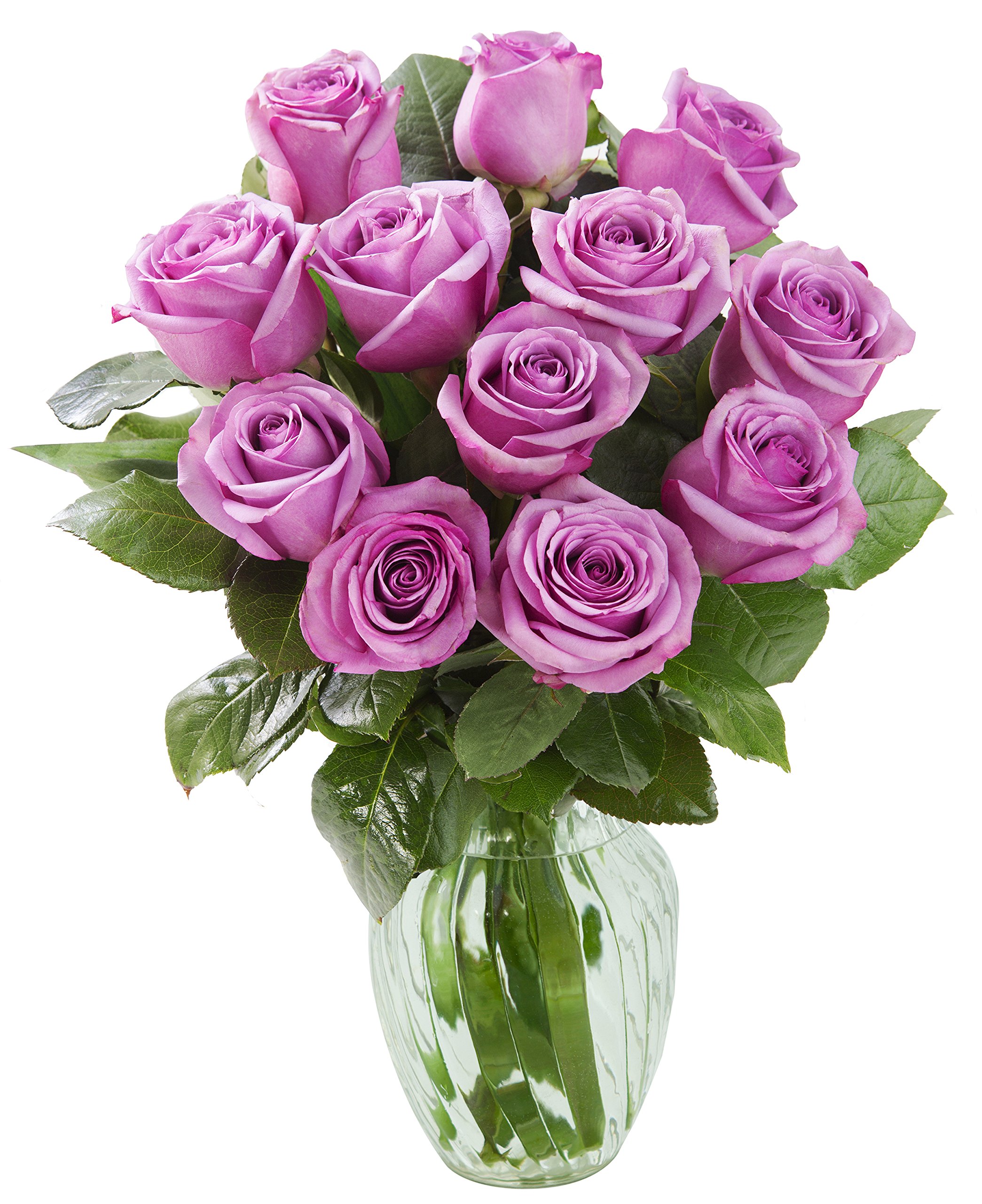 KaBloom - Bouquet of 12 Fresh Purple Roses (Farm-Fresh, Long-Stem) with Vase - Fresh Flowers for Birthday, Valentine's & Mother's Day
