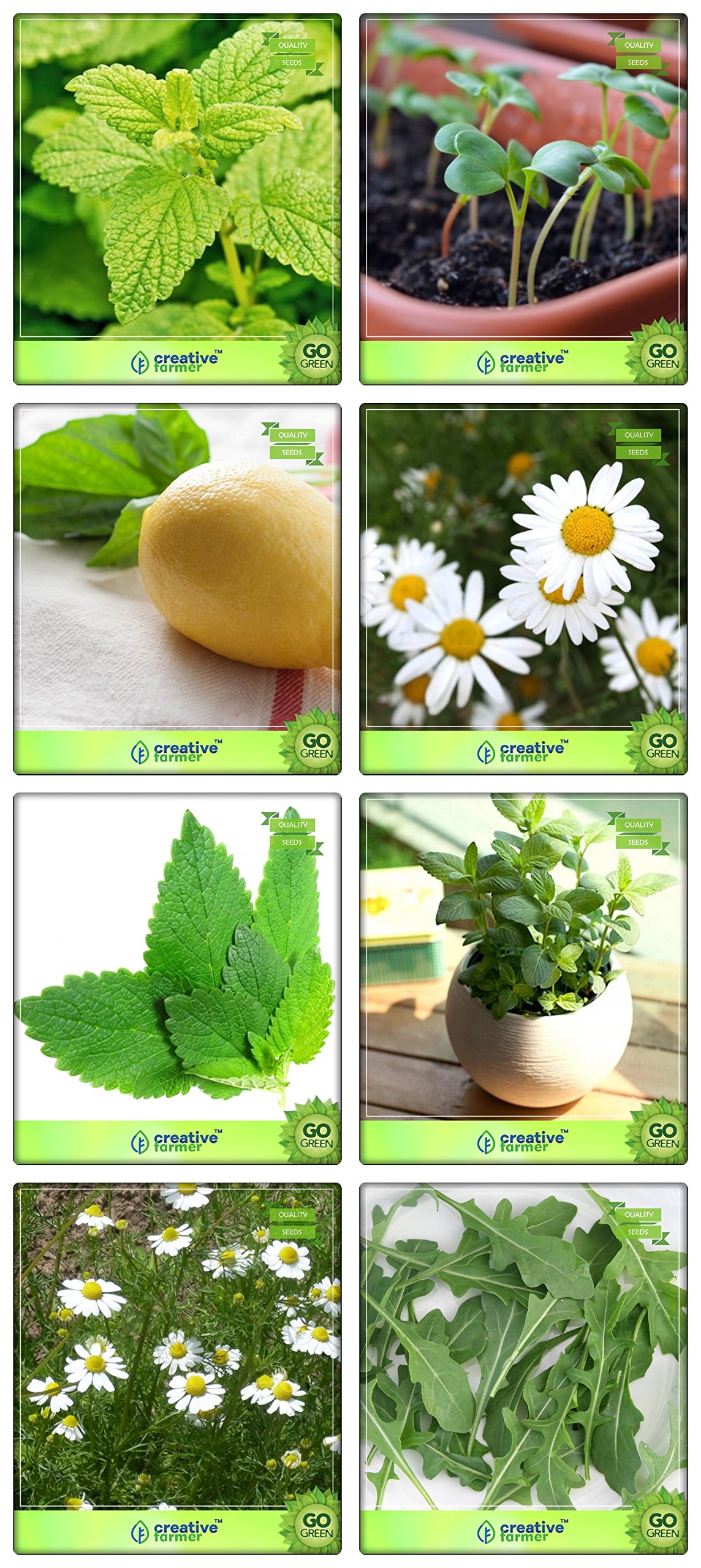 Creative Farmer Medicinal Plant Seeds Lemon Balm, Lemon Basil, German Chamomille, Wild Rocket Herb Seeds Combo Pack (B078V5XJN4) Amazon Price History, Amazon Price Tracker