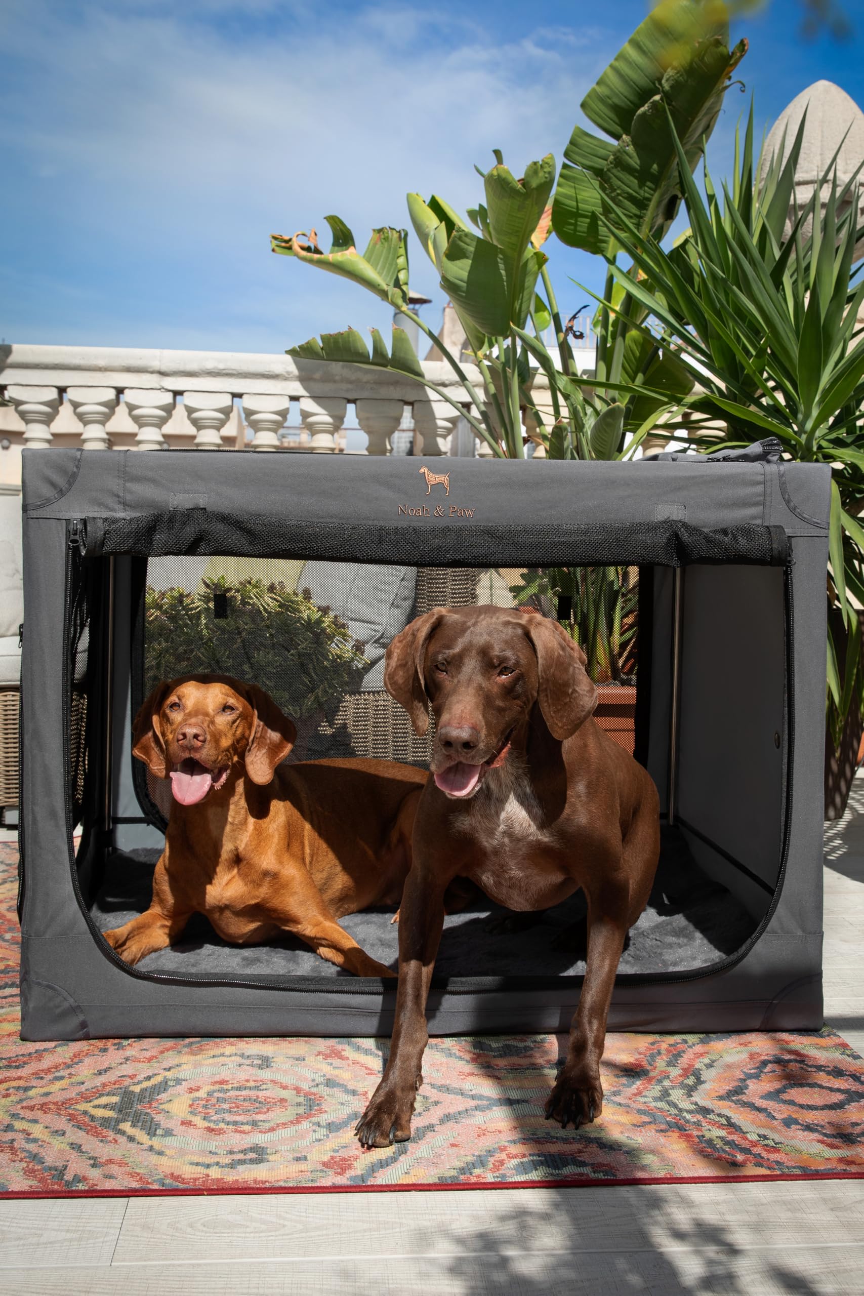 Noah & Paw Gabbia pieghevole per cani 36", gabbia XL per razze medie‑grandi, trasportino auto, tappetino incluso, 2 tasche, borsa, cerniere 10 mm 36x25x23