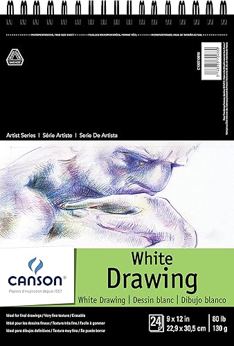 Canson Artist Series - Papel de dibujo, bloc de alambre, 9 x 12 pulgadas, 24 hojas (80 libras4.59 oz), papel de artista para adultos y estudiantes,