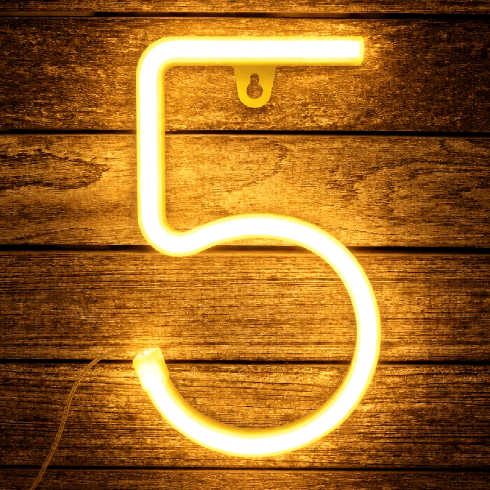 Neon Number 5 Light, 22cm Warm White Number Light Sign for Birthday Party Anniversary Christmas Wedding