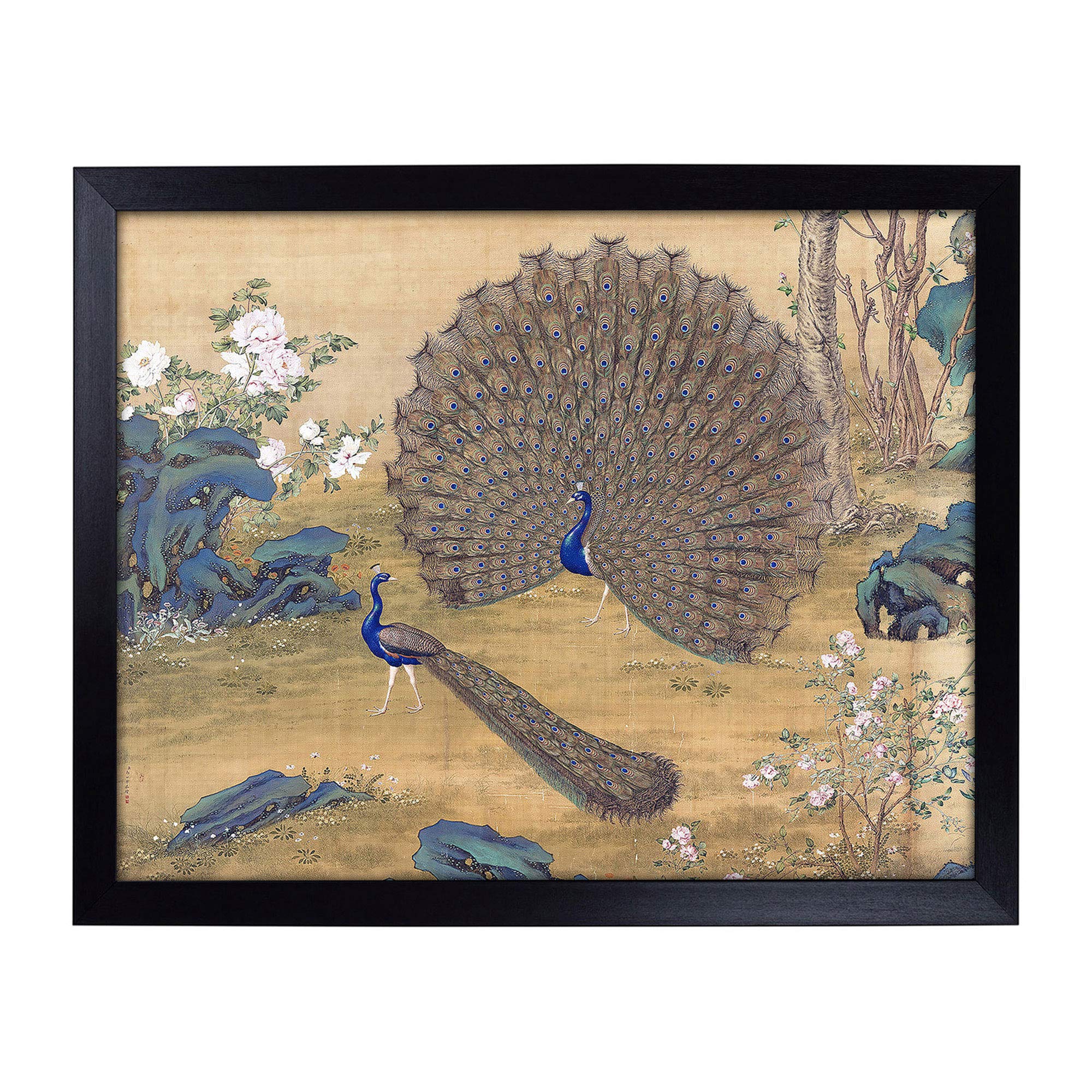 Big Box Art Lap Tray with Cushion | Peacock with a Spread Tail by Lang Shining | Padded Bean Bag Cushion | For Eating, Working, Crafting, Laptop | Portable Table Desk