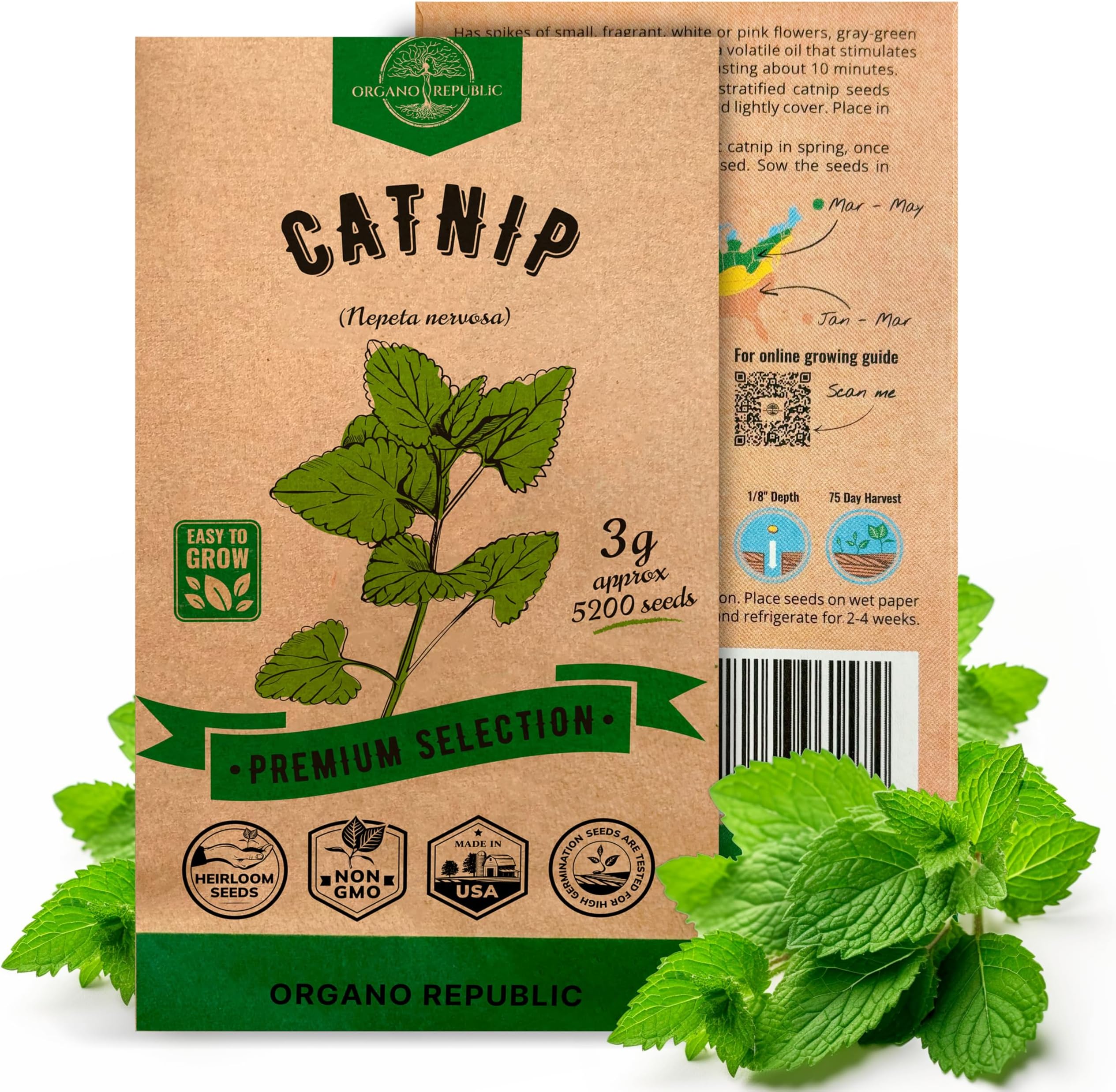 Amazon.com : 28,000 Catnip Seeds for Planting Grow Your own Catnip to ...