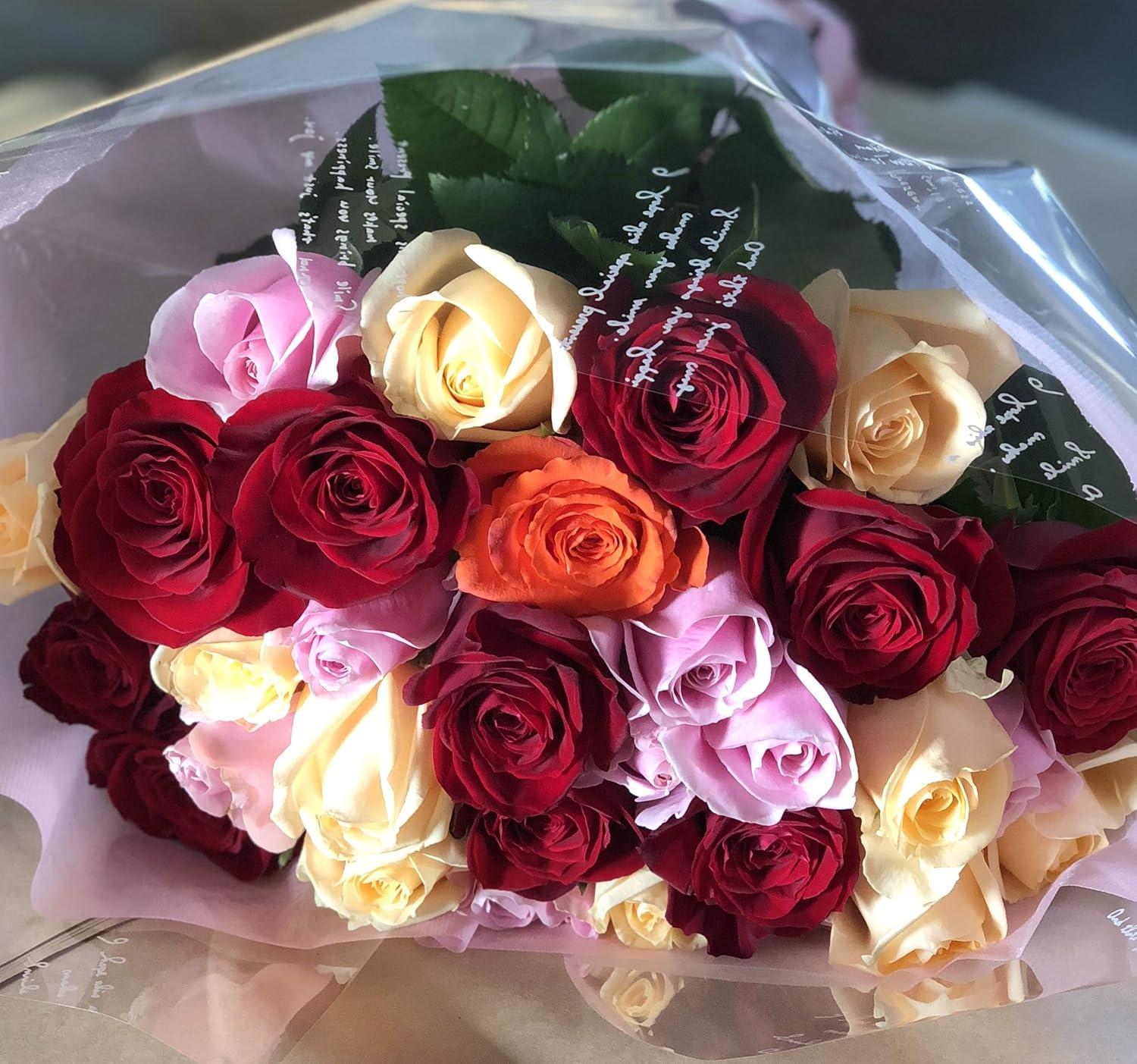 希少✧人気インテリア(❁ᴗ͈ˬᴗ͈) ラブリーハート 斑入り 71cm 4色の