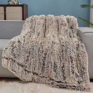 GONAAP Fuzzy Faux Fur Throw Blanket Frosty Brown Super Soft Cozy Plush Fuzzy Shaggy Blanket for Couch Sofa Bed (Frosty Brown, Throw(50"x60"))