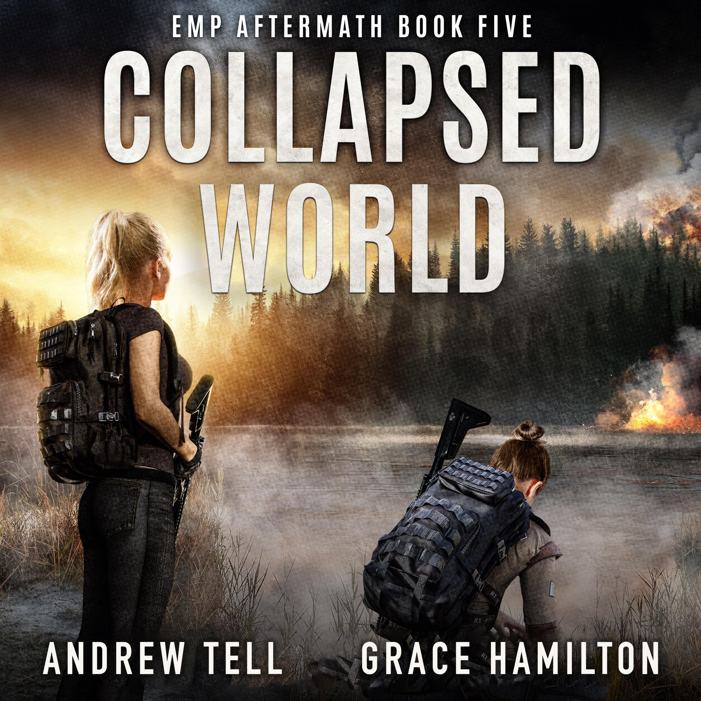 Cover art for Collapsed World