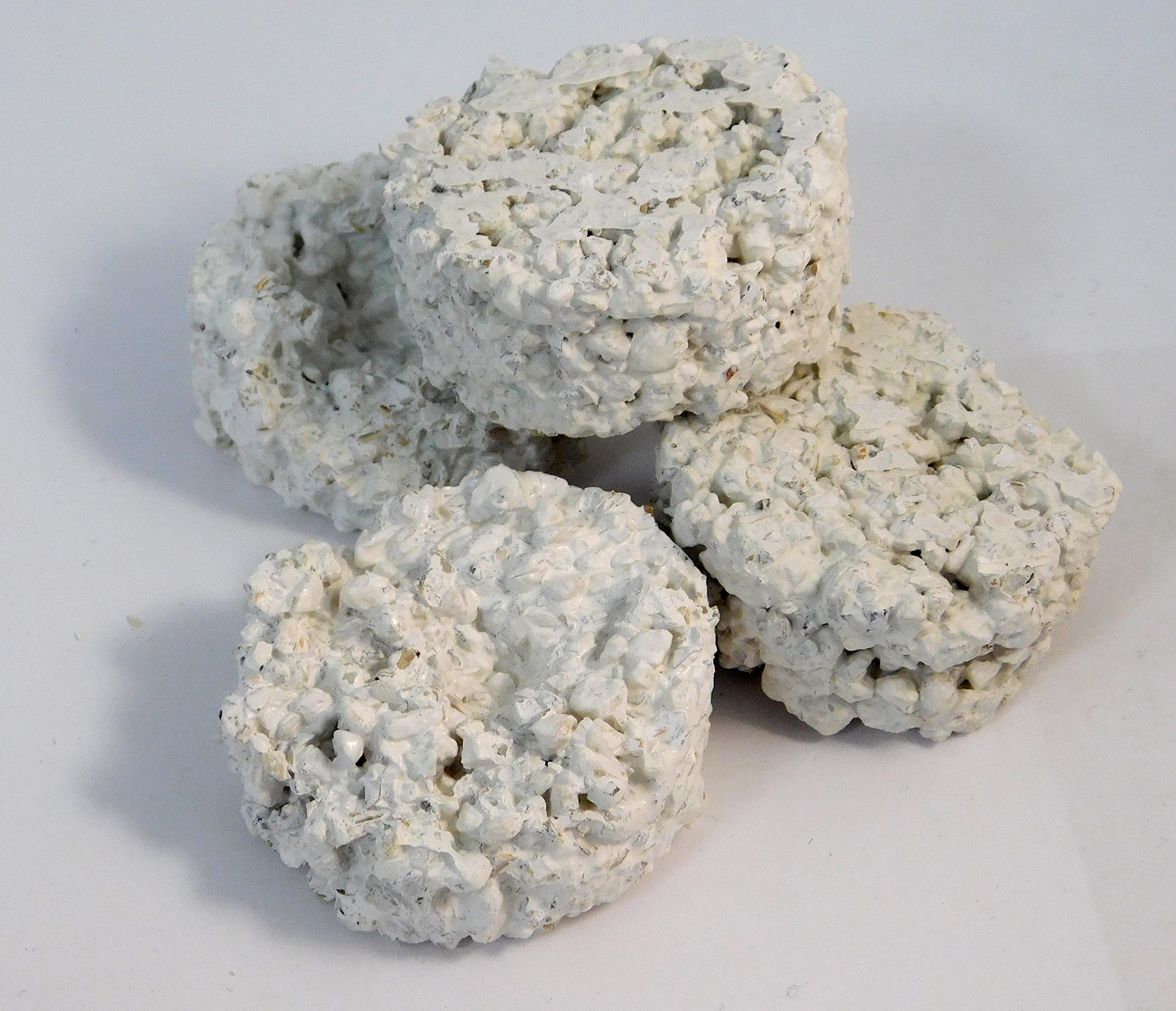 Aquaforest AF Frags Rocks (24 pezzi) Fragging di corallo e rocce Aquascaping