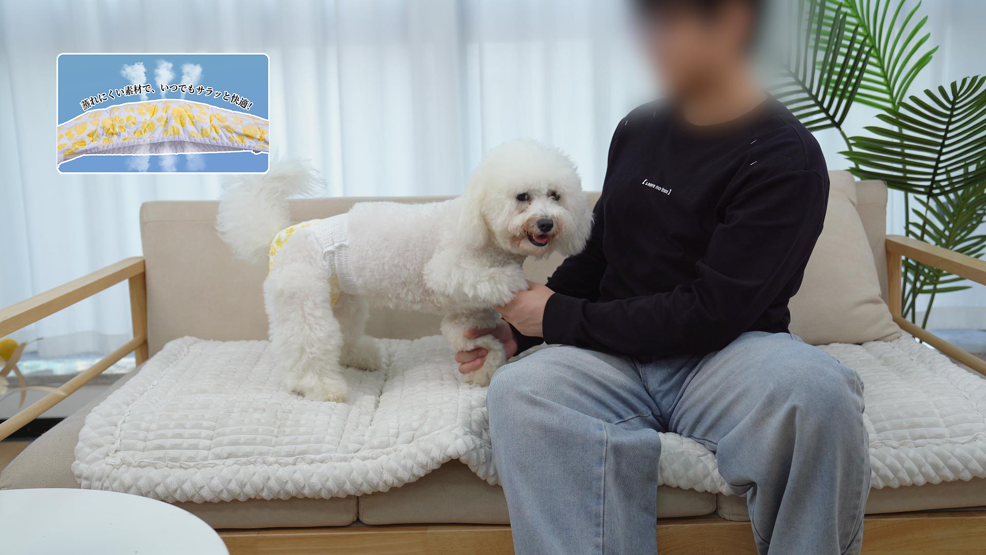 Amazon | Dono 犬用おむつ 幅広ウエスト犬オムツ 360°漏れ防止