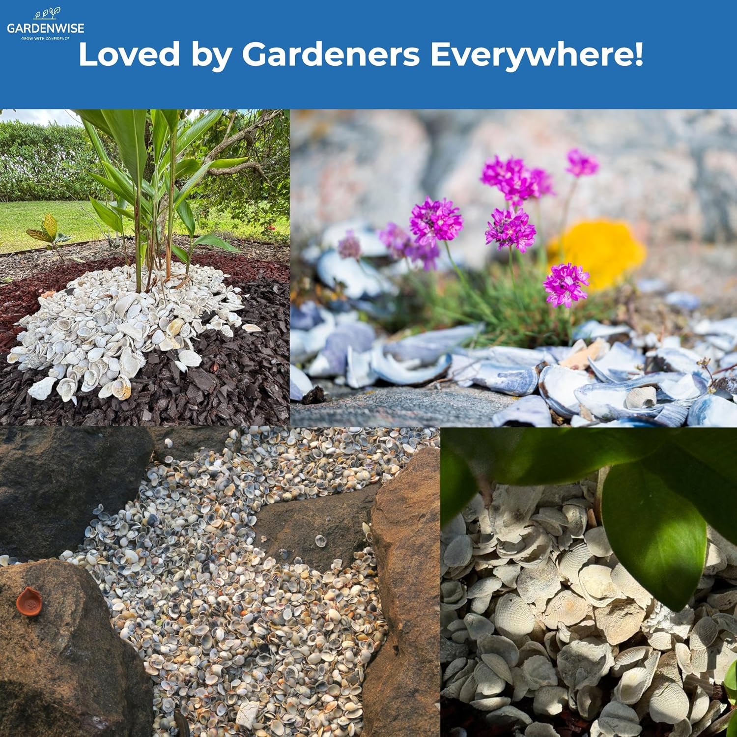 GARDENWISE Natural Organic Sea Shell Mulch for Gardens and Landscaping – Decorative and Nutrient-Rich, 0.5–3-Inch Shells, Perfect for Indoor and Outdoor Use (0.5 CF - 14 L - 15 QTS)