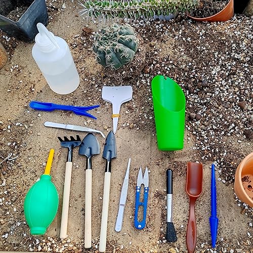 Miniatura 3 de GXXMEI Juego de 20 herramientas para suculentas, mini juego de herramientas de jardín, juego de herramientas de trasplante, kit de cuidado de