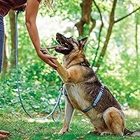 Vista 5 de Blue-9 Reflective Buckle-Neck Balance Harness, Fully Customizable Fit No-Pull Harness with 3M Reflective Stitching, Ideal for Dog Training and