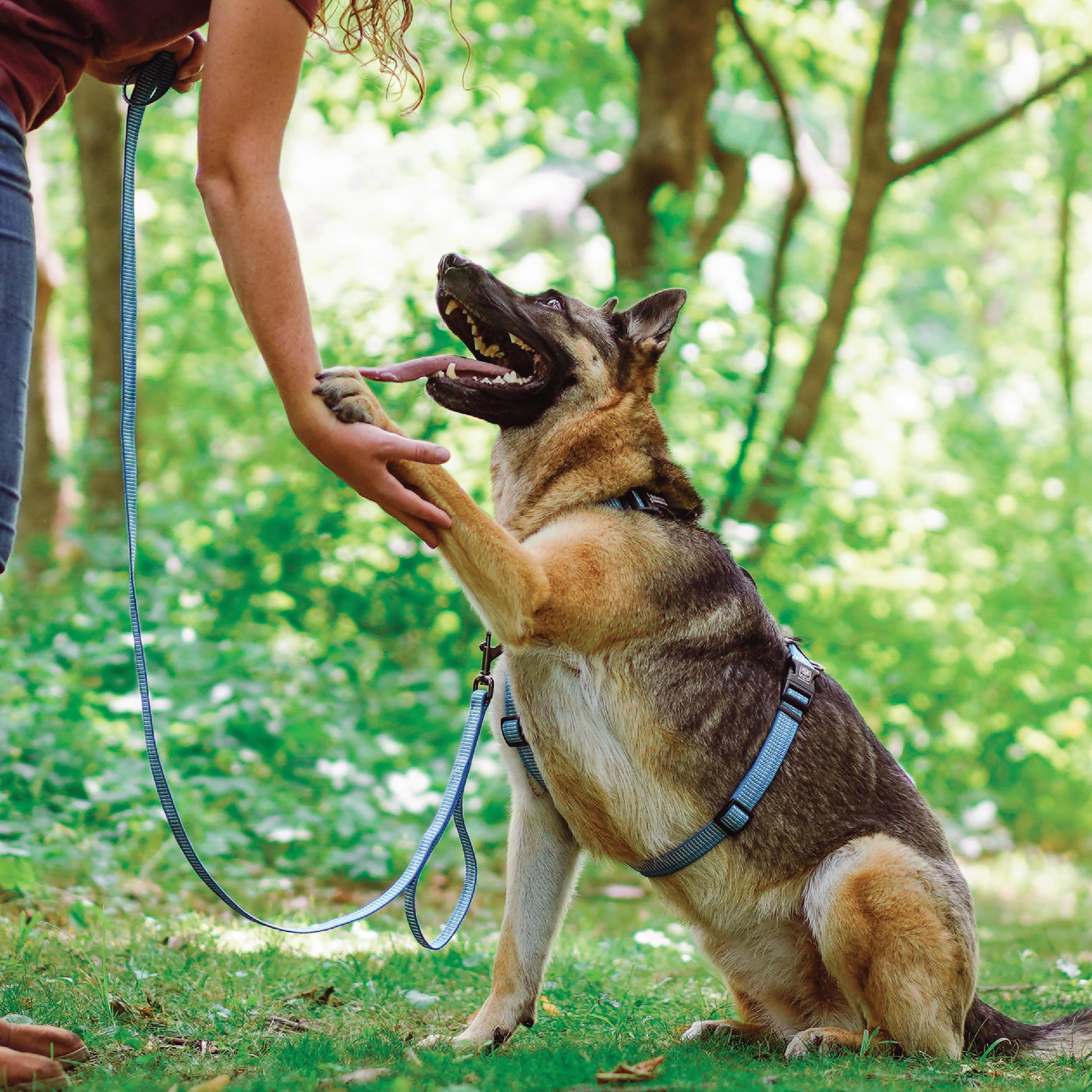 Blue-9 Odblaskowe szelki balansowe z klamrą, w pełni konfigurowalne, dopasowane szelki bez ciągnięcia z odblaskowymi szwami 3M, idealne do treningu psów i posłuszeństwa, wyprodukowane w USA