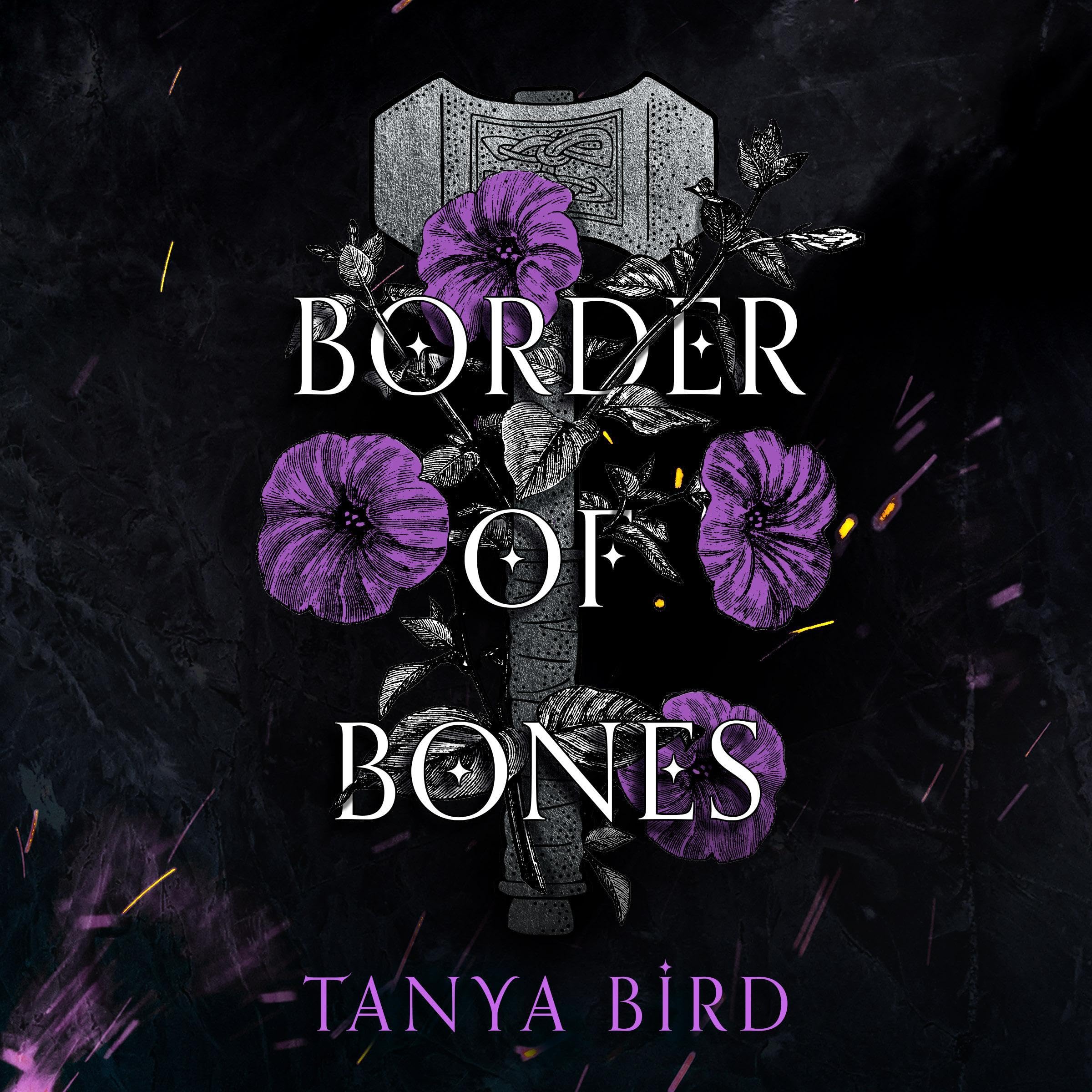 Cover art for Border of Bones